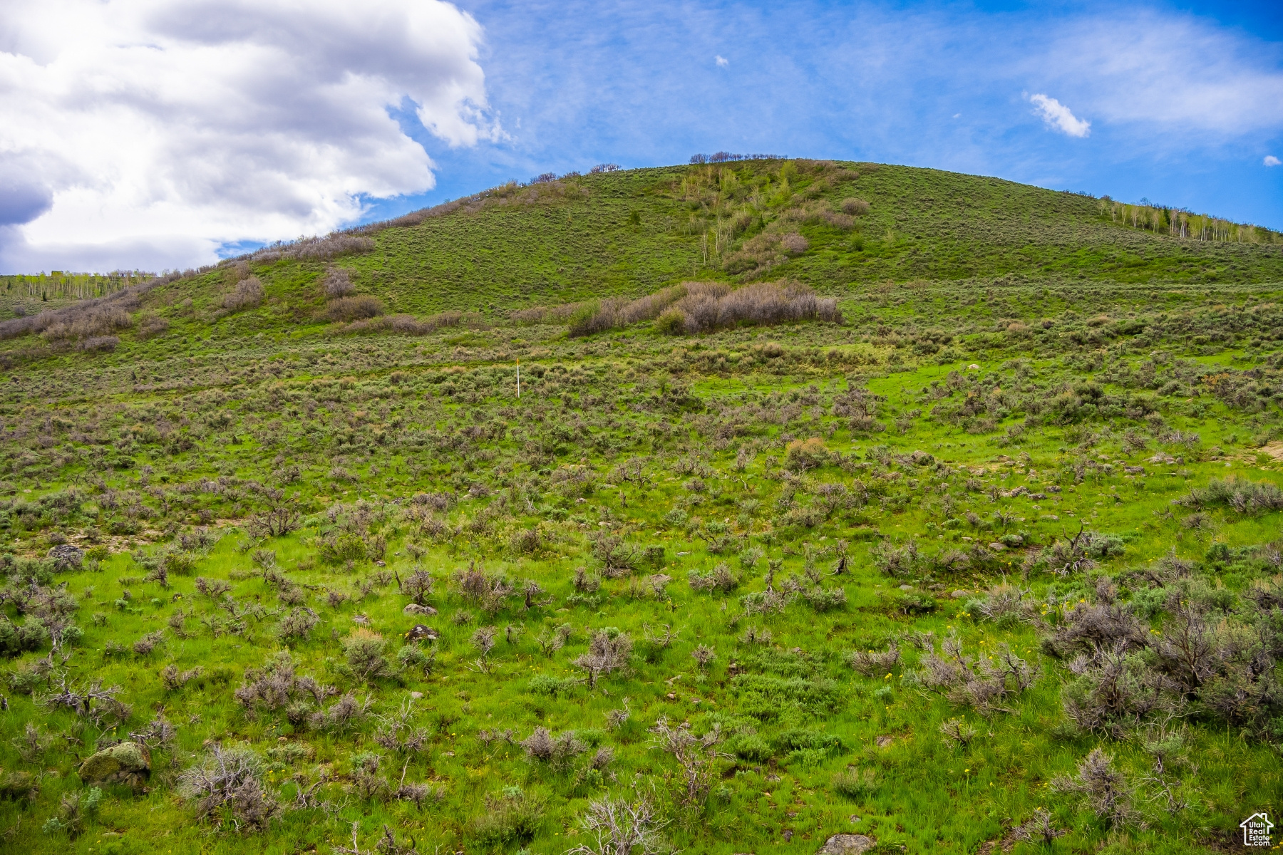 PROMONTORY RANCHES SUB - Land