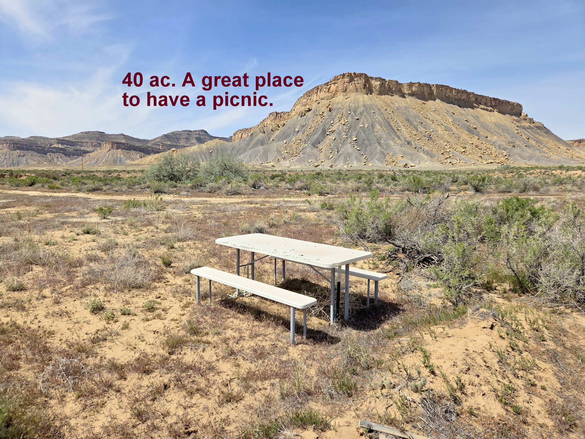 Views to the north (Book Cliffs). Views to the south (La Sal Mts. and Castle Rock and the Priest & The Two Nuns). Views to the east and west, (The Book Cliffs). 40 acres of land for this low price. Another 20 acres of more land available next door, and if that's not enough, there's another 60 ac. of land available next door too. Just think, 120 acres could be yours for you and your family and friends to enjoy. Lots of wild flowers blooming in the spring. Enjoy Starry Nights and Desert Silence. Antelope, Mule Deer, Wild Turkeys, lots and lots of birds for the bird watchers. Power lines along the property and this flat land makes it easy to connect to the power line or set up your own solar system.  Three different roads are available to get to this property. One from the east, one from the south and one from the west. Thompson Creek (a dry wash) runs along the east side of the property. This property is mostly fenced, these two feathered helps keeps this property private. Located only 35 miles from Moab. It is near Arches National Park, Dead Horse State Park, The Needles National Park and the Maze National Park.  Just 17 miles from the Moab/Canyonlands airport. Enjoy ATV-ing, UTV-ing, Jeeping, Hiking, Biking, explore the Book Cliff Canyons, hunting, bird watching, visiting the 2,000 year old Indian writing, and or don't forget to visit the old Sego Ghost Town, and the historical cemeteries. All information herein is deemed reliable but is not guaranteed. Buyer is responsible to verify all listing information, including square feet/acreage, to buyer's own satisfaction.