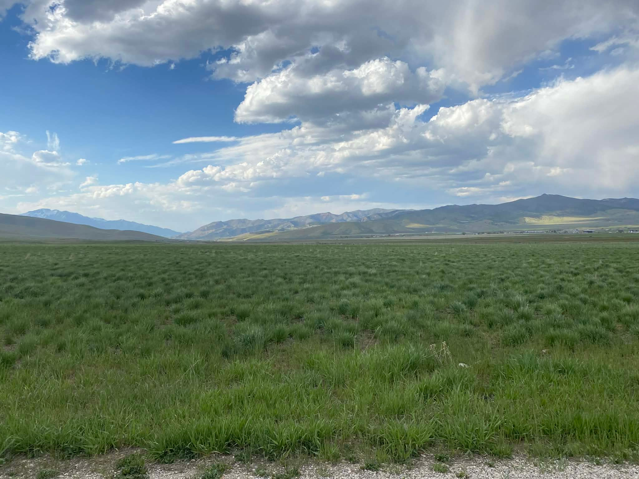 MILLER MEADOWS - Land