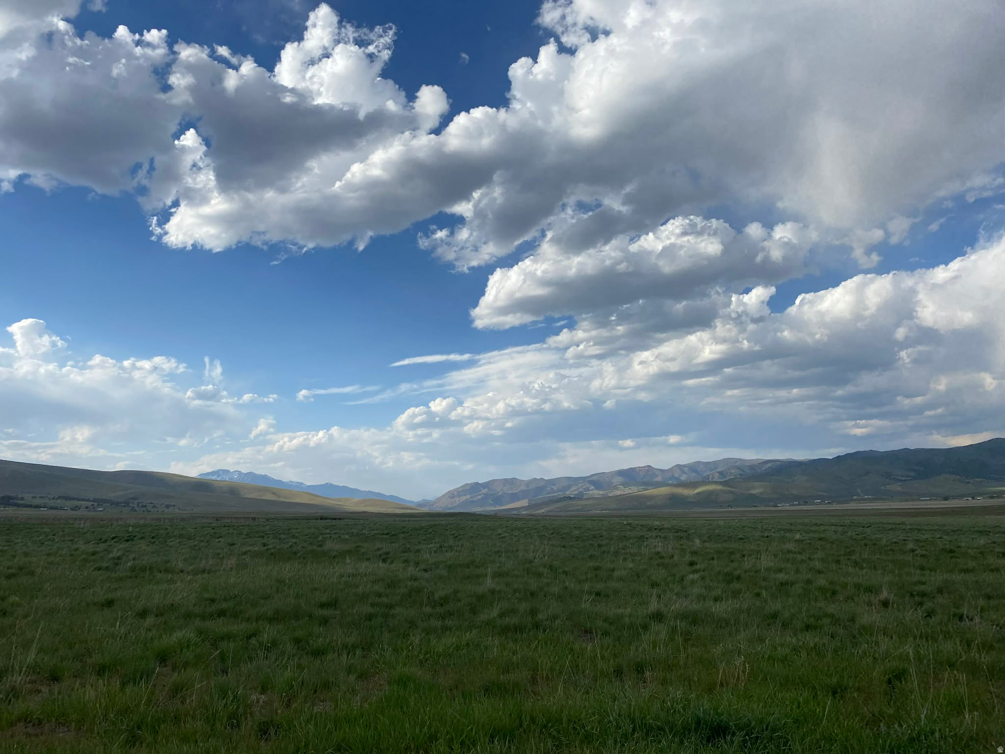 MILLER MEADOWS - Land