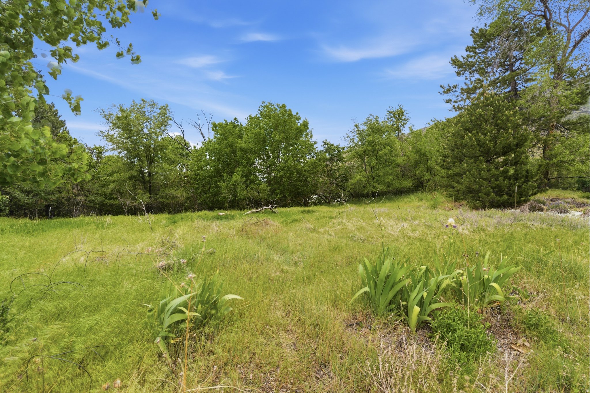 KAYS CREEK - Land