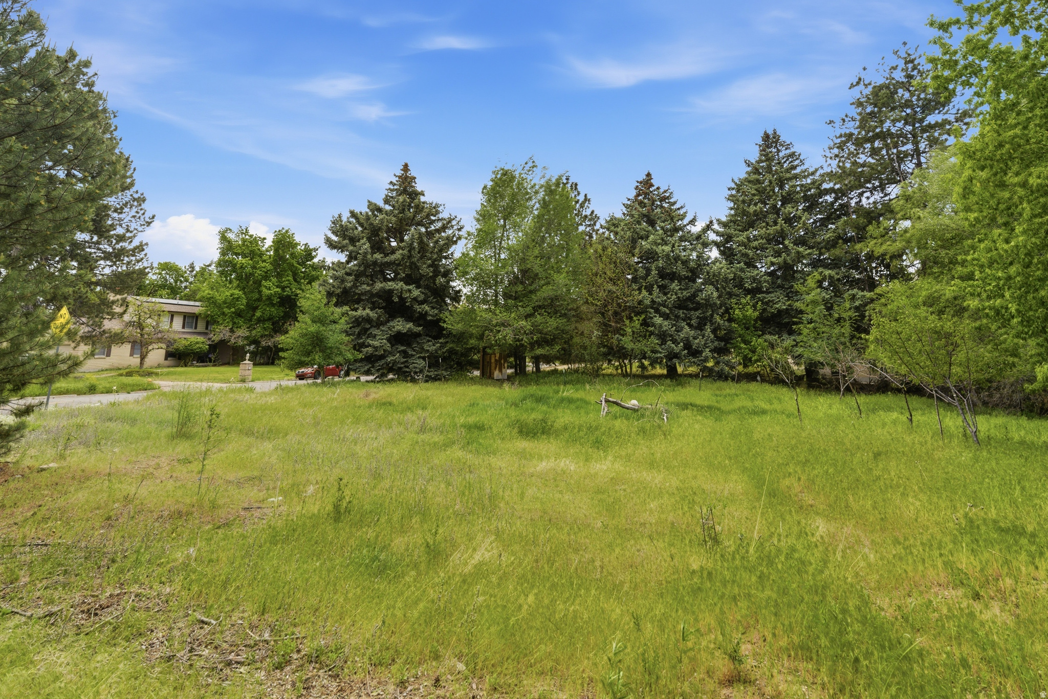 KAYS CREEK - Land