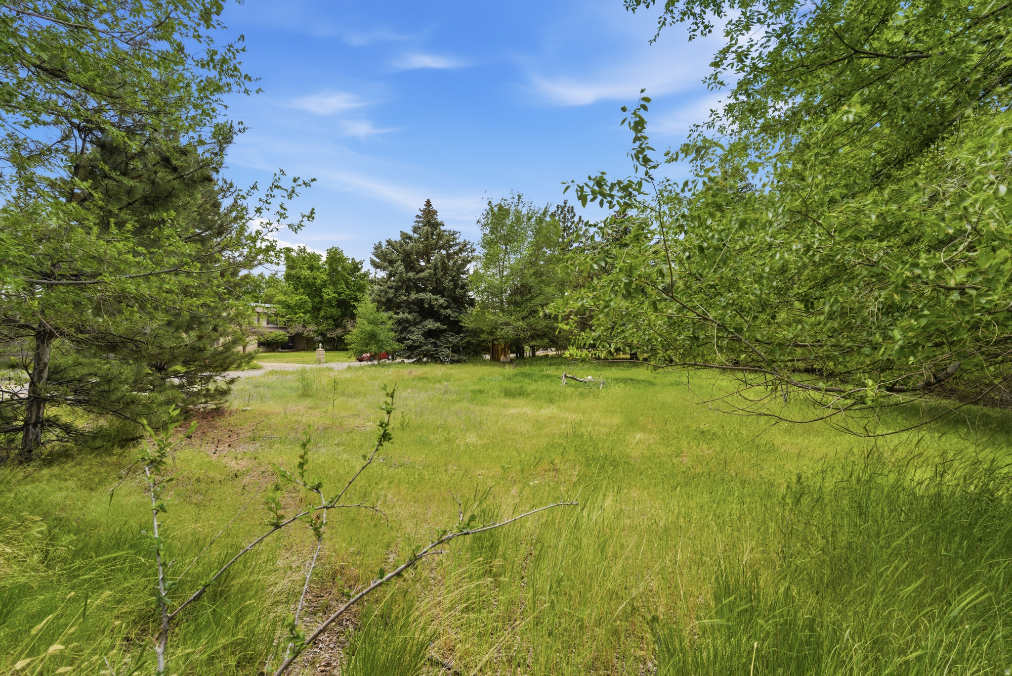 KAYS CREEK - Land
