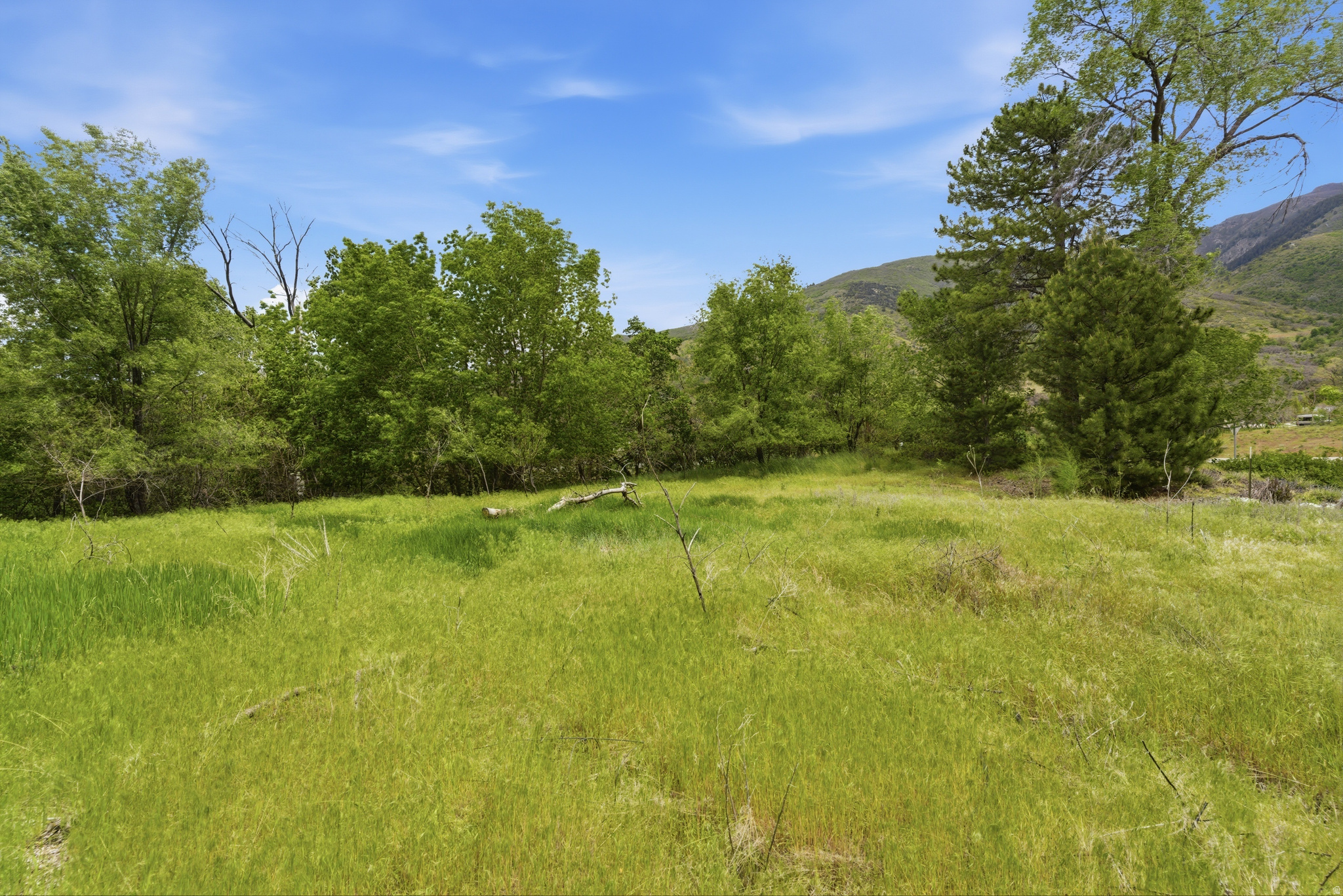 KAYS CREEK - Land