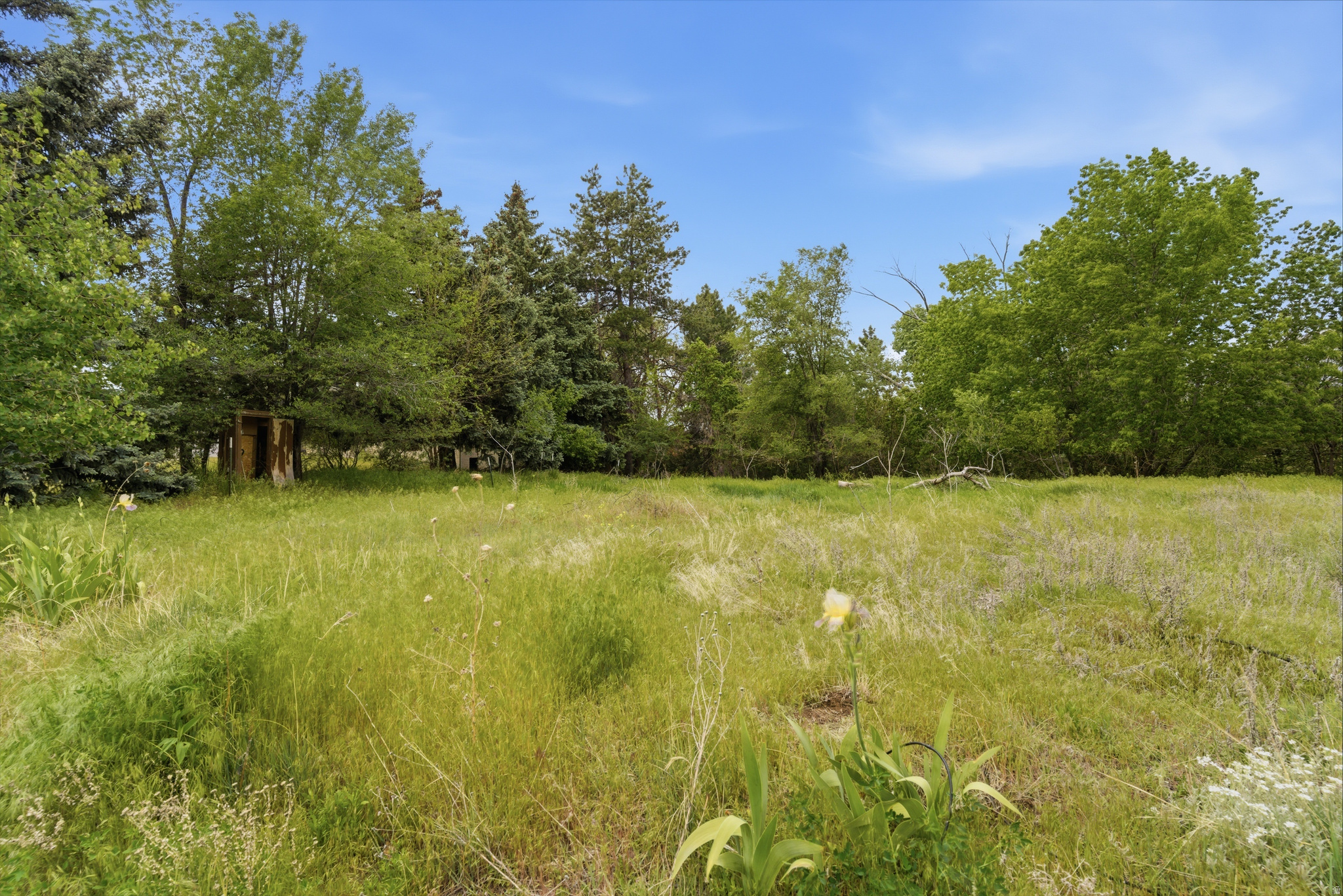 KAYS CREEK - Land