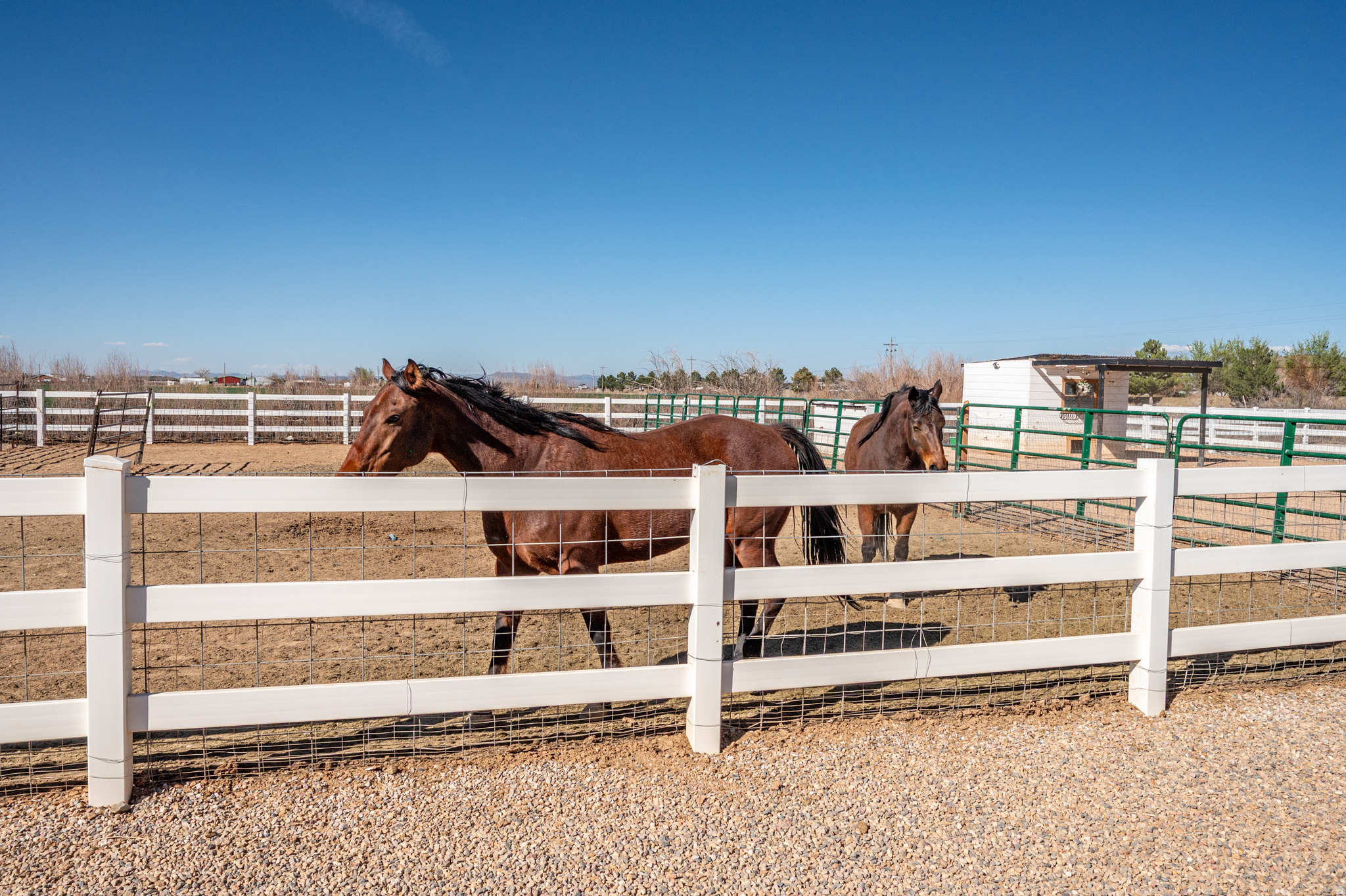 ESTATES AT SUNRISE RANCH - Residential