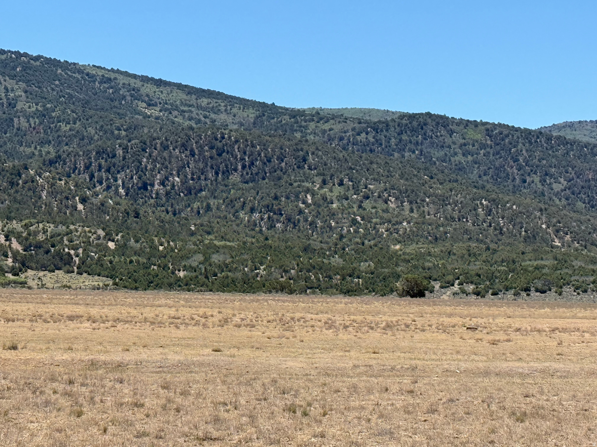 If you've been searching for the perfect 10-acre parcel to build your dream home and enjoy country living, this is it. Located between Spring City and Ephraim on the east bench below Skyline Drive, these buildable lots already have power and water in place-ready for you to start building. Just 40 minutes from I-15 and approximately 100 mile from Salt Lake City, this property offers the perfect balance of peaceful seclusion and convenient access. This is country living at its finest. Whether you're looking for a place to keep horses, cows and chickens, or simply want room to spread out and enjoy the privacy of having no close neighbors, the property is worth a look. Includes 5 acre feet of irrigation water. Call Jordan Durfey for driving directions.