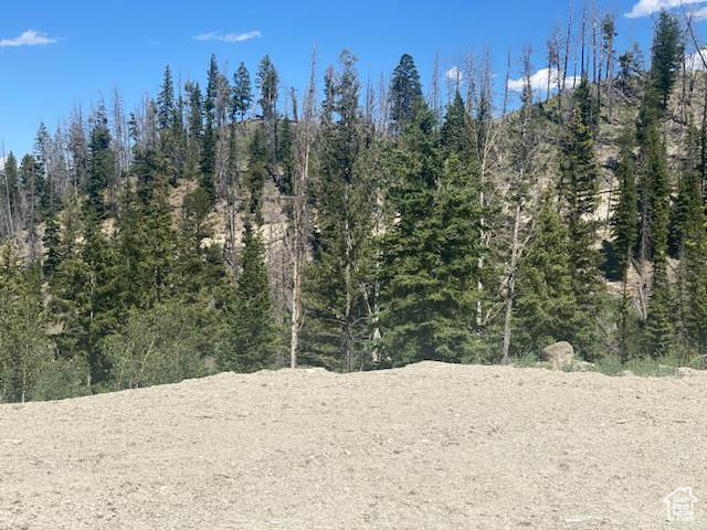 ARGYLE CANYON - Residential
