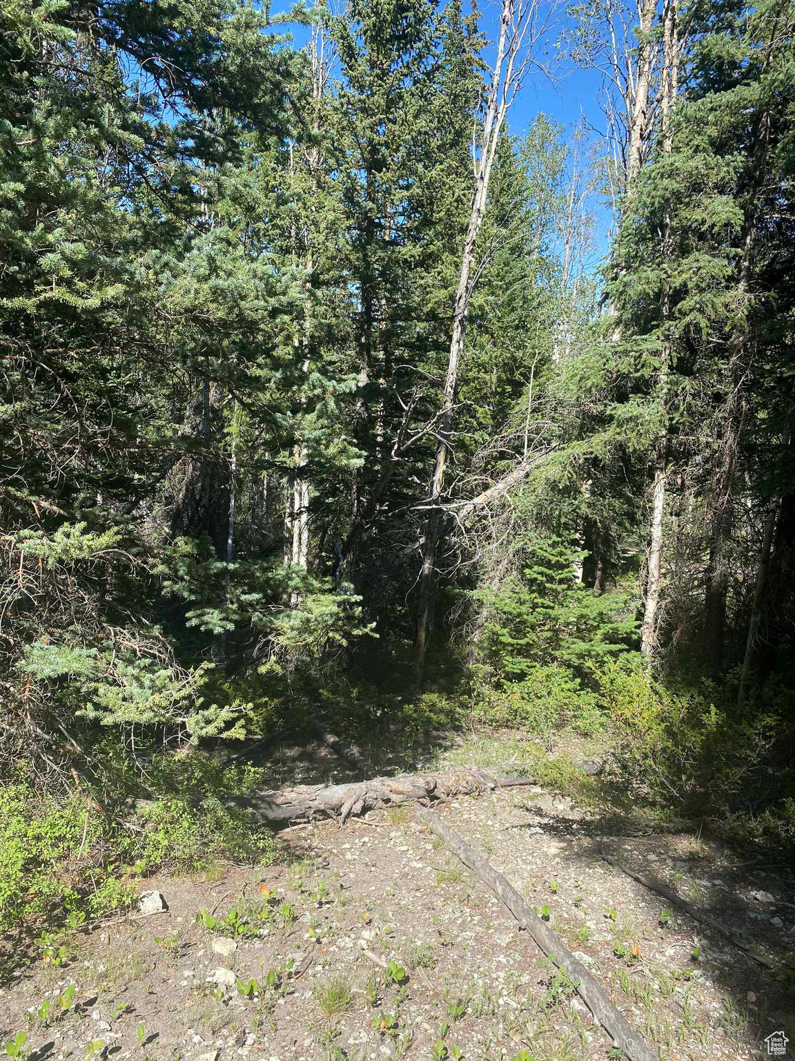 ARGYLE CANYON - Residential