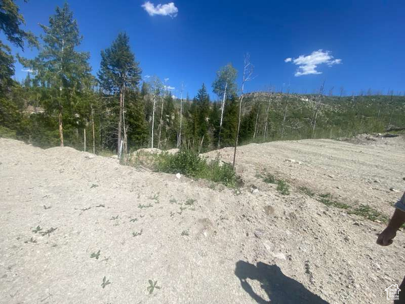 ARGYLE CANYON - Residential
