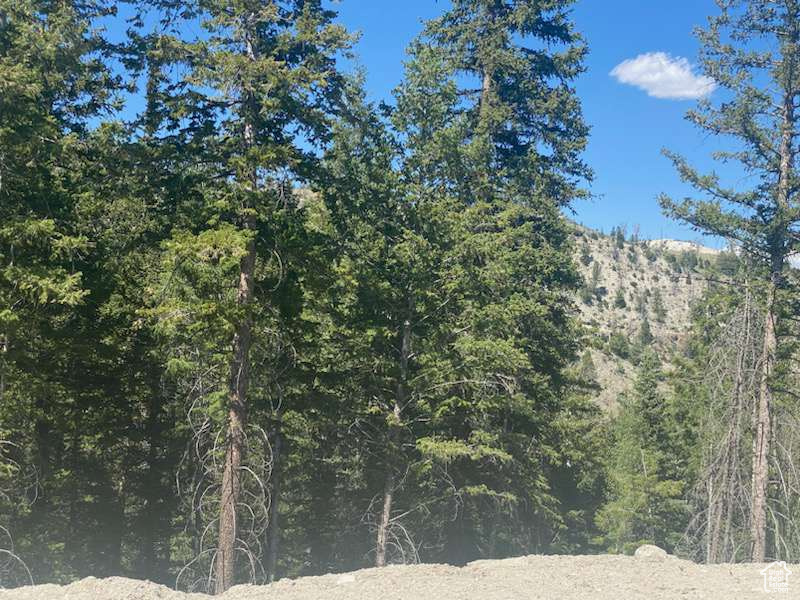 ARGYLE CANYON - Residential