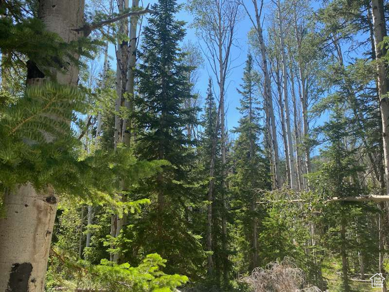 ARGYLE CANYON - Residential