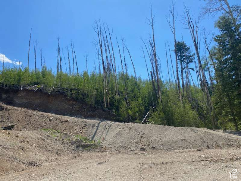 ARGYLE CANYON - Residential