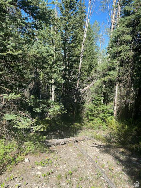 ARGYLE CANYON - Residential