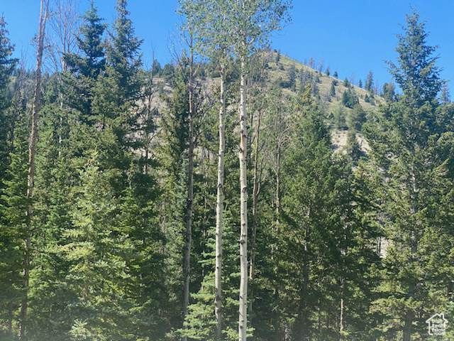 ARGYLE CANYON - Residential