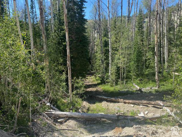ARGYLE CANYON - Residential