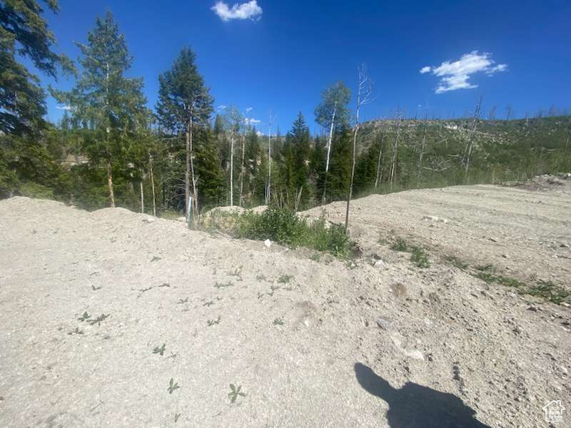 ARGYLE CANYON - Residential