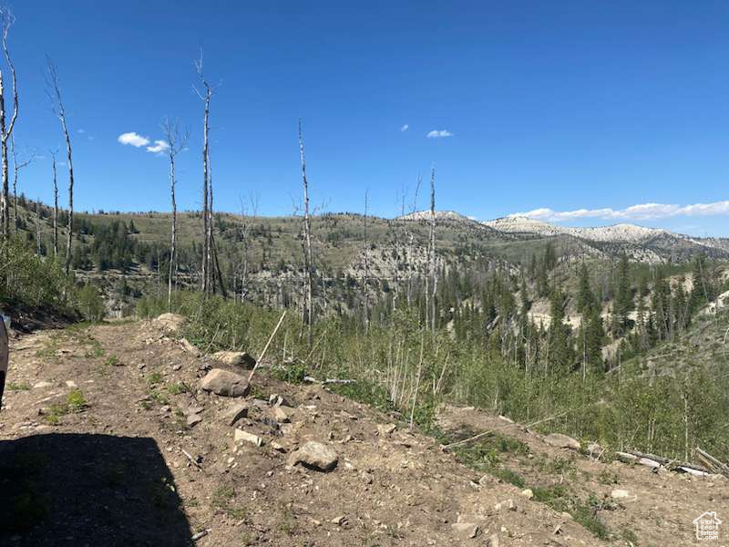 ARGYLE CANYON - Residential
