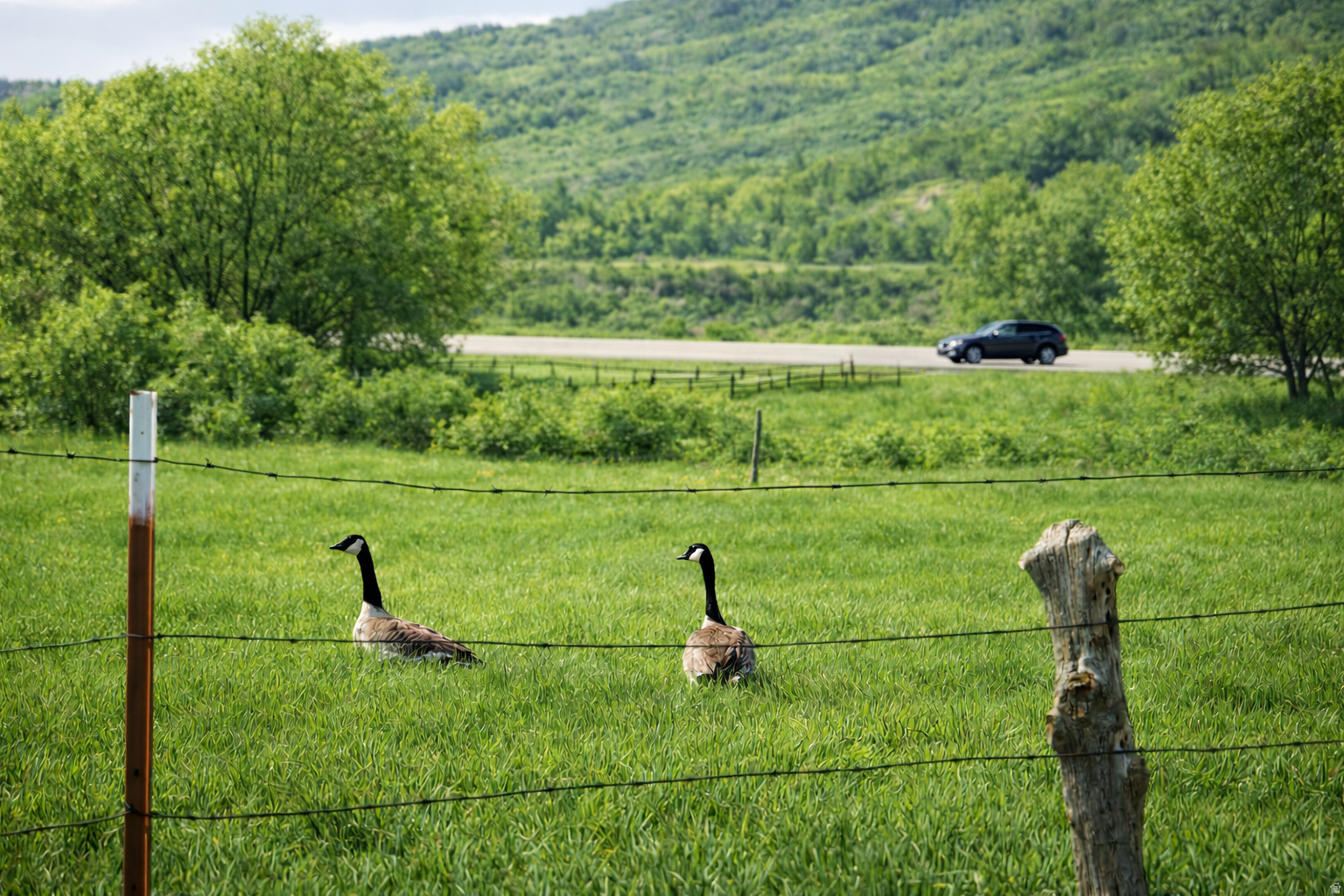 WINTERTON FARMS - Land