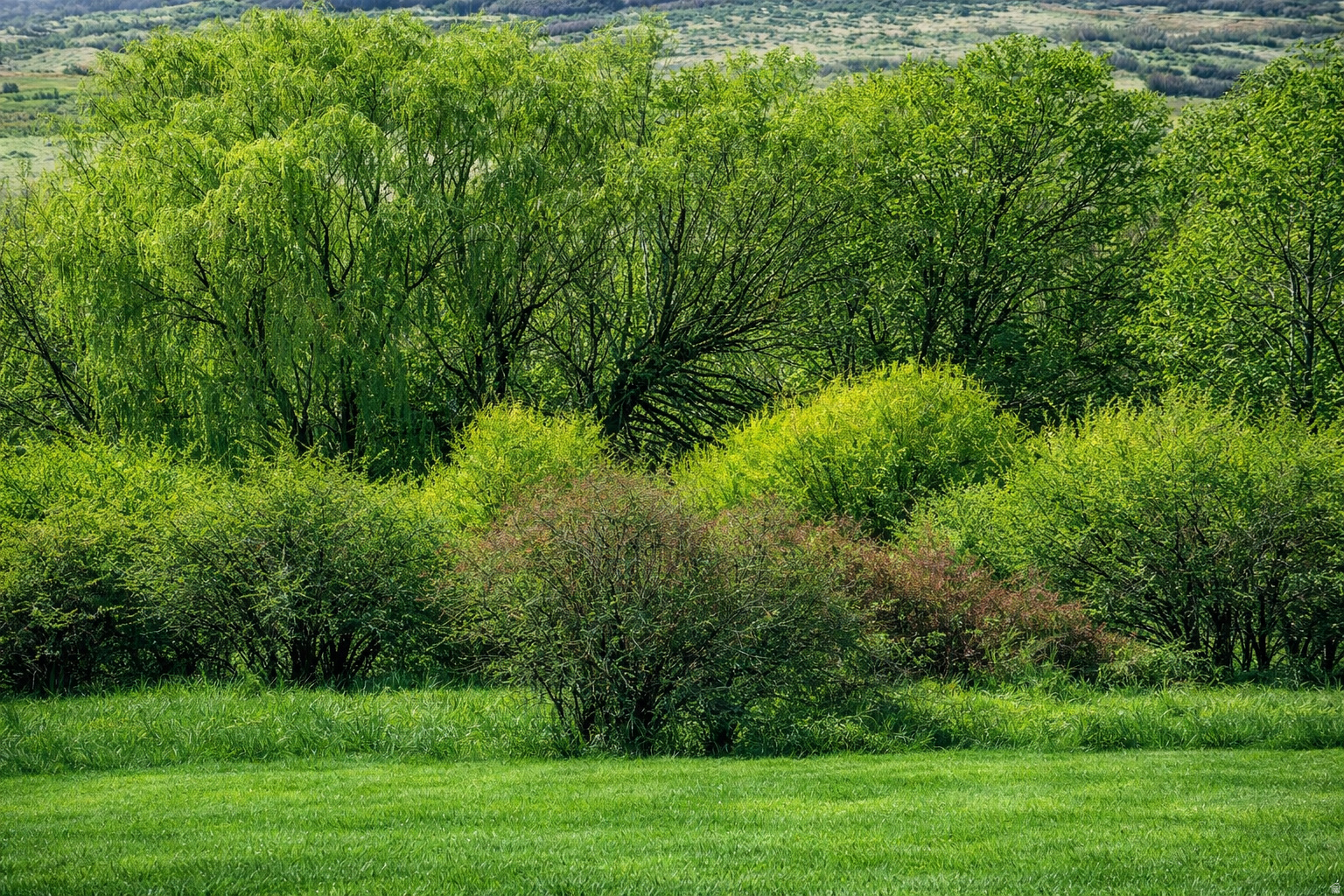 WINTERTON FARMS - Land