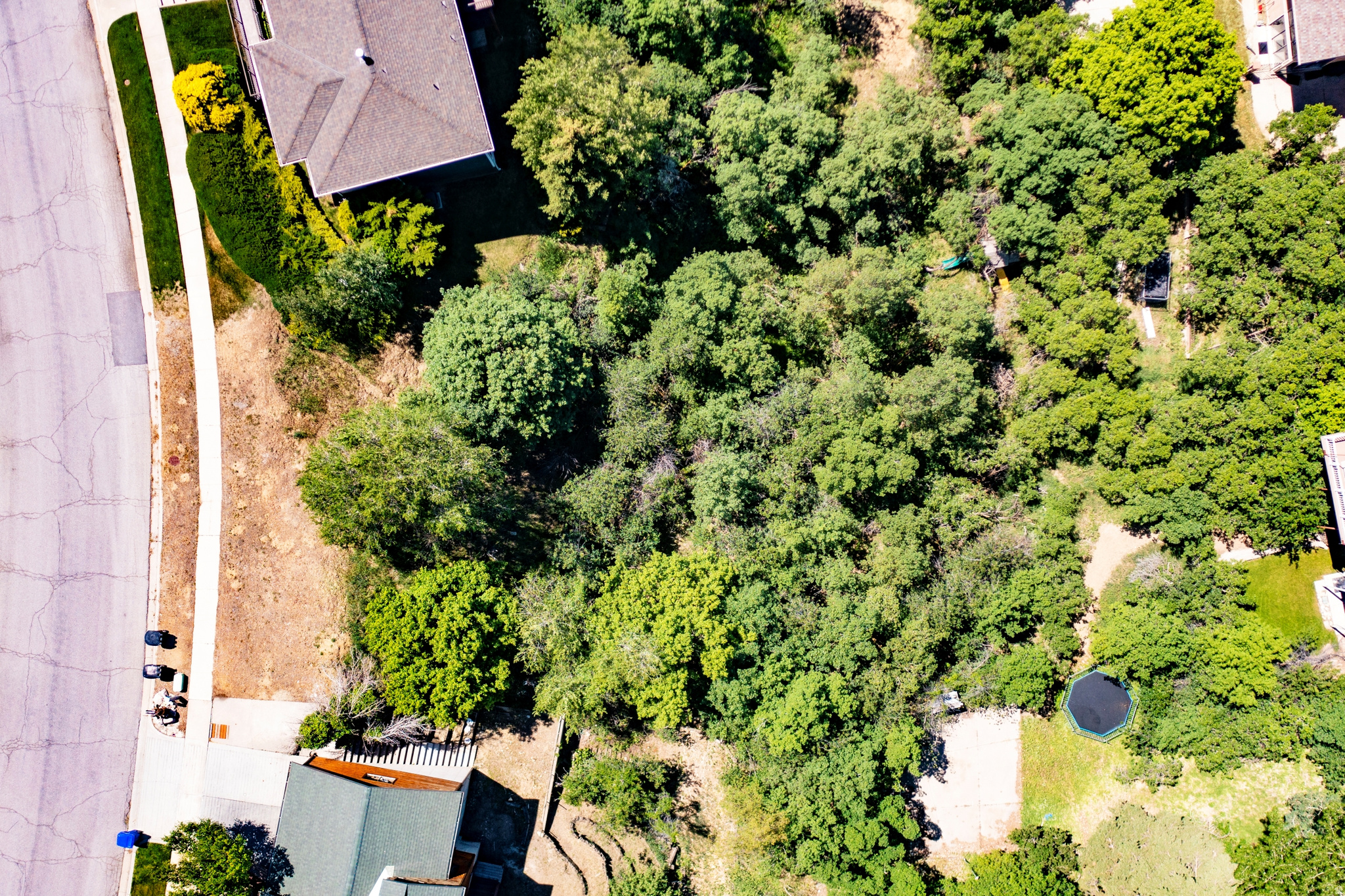 SAN SIMEON HILLS - Land