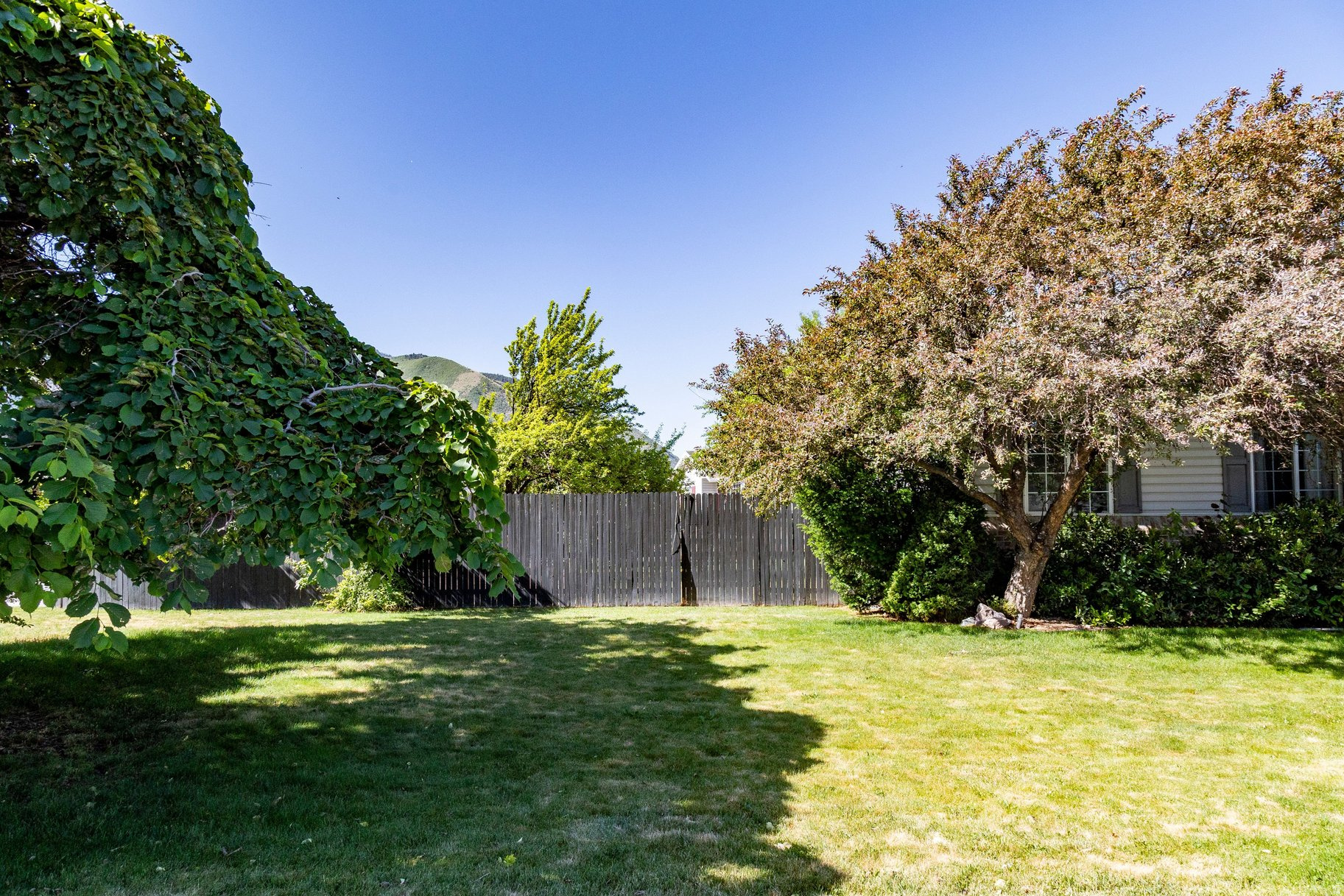 RED PINE ESTATES - Residential