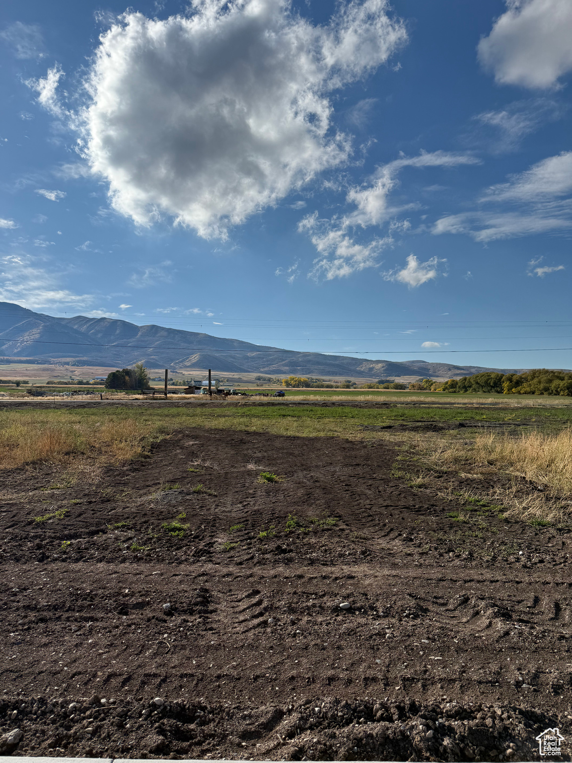 BLUEBERRY SPRINGS DEVELOPMENT LLC - Land