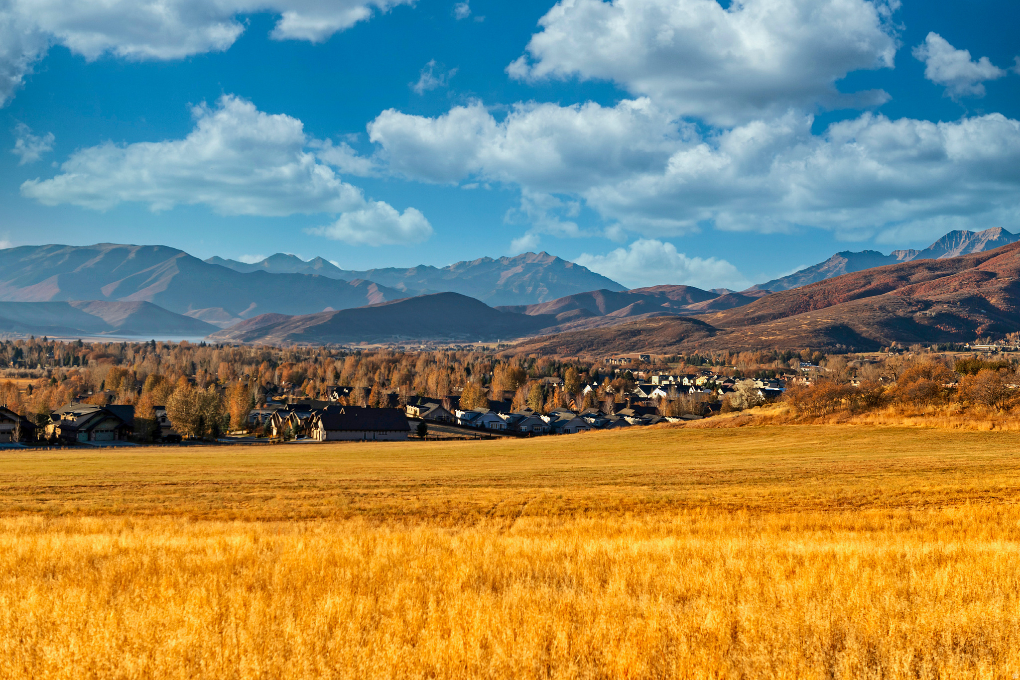 THE RESERVE - Land