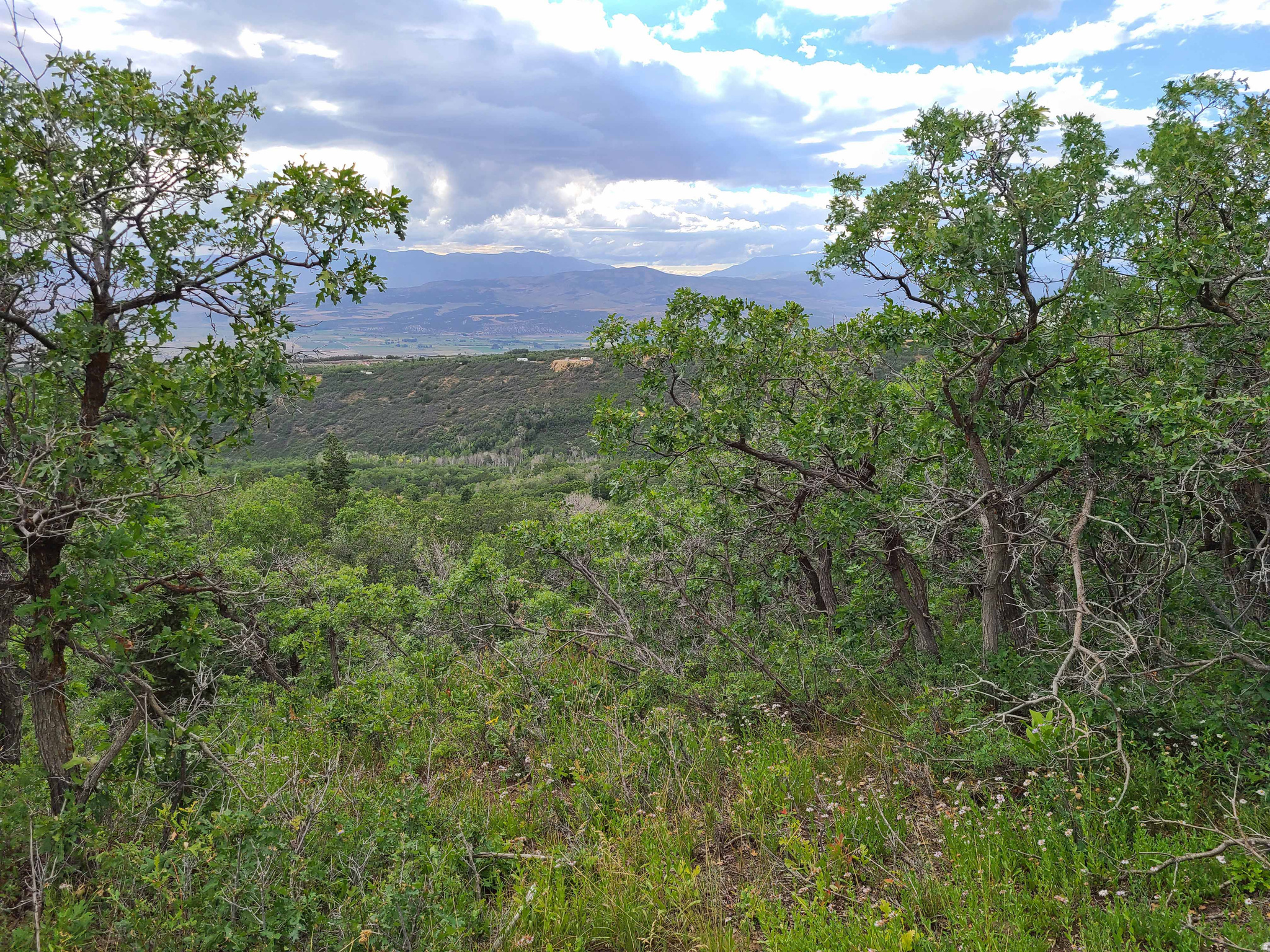 ASPEN HILLS - Land