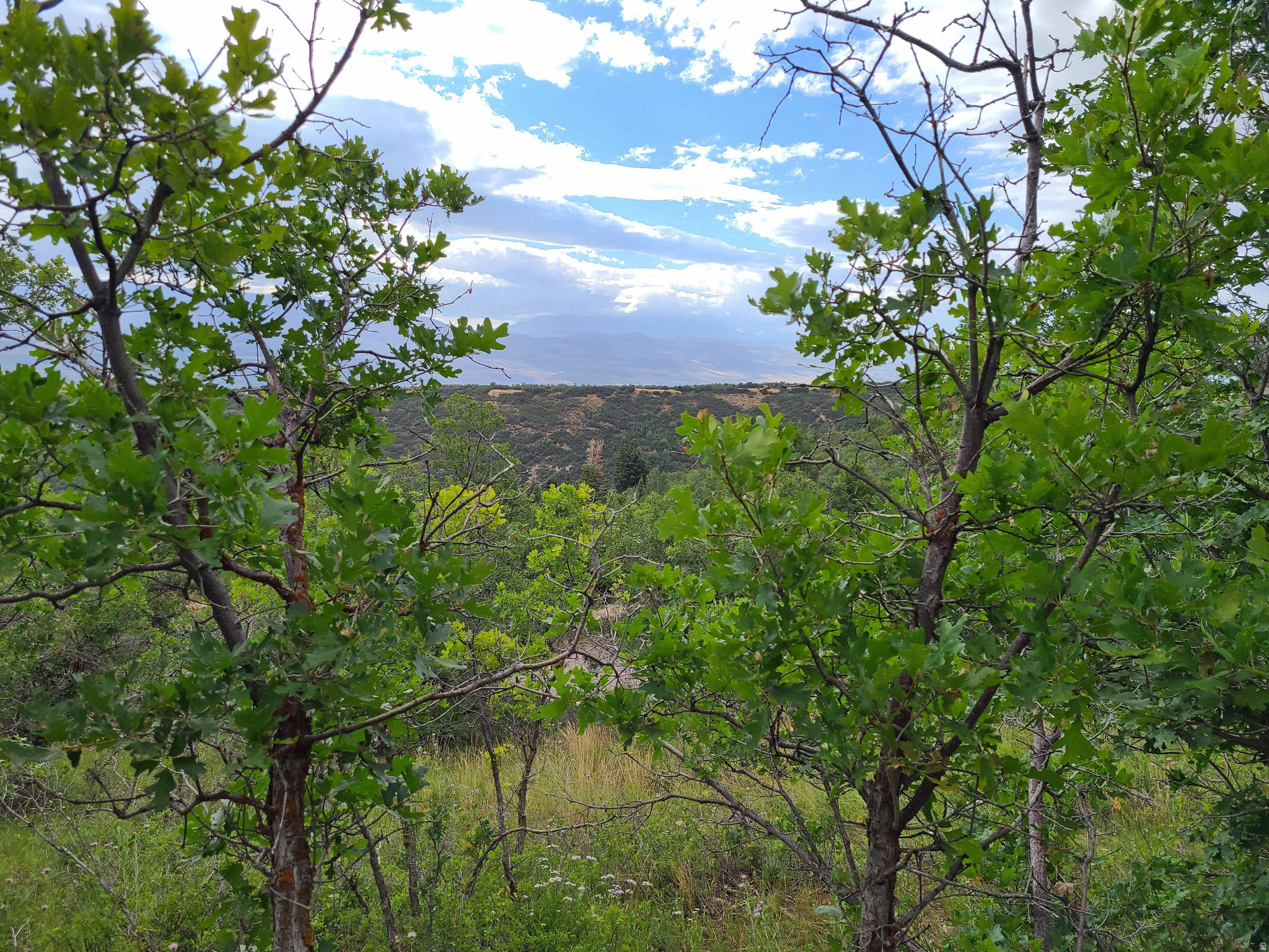 ASPEN HILLS - Land