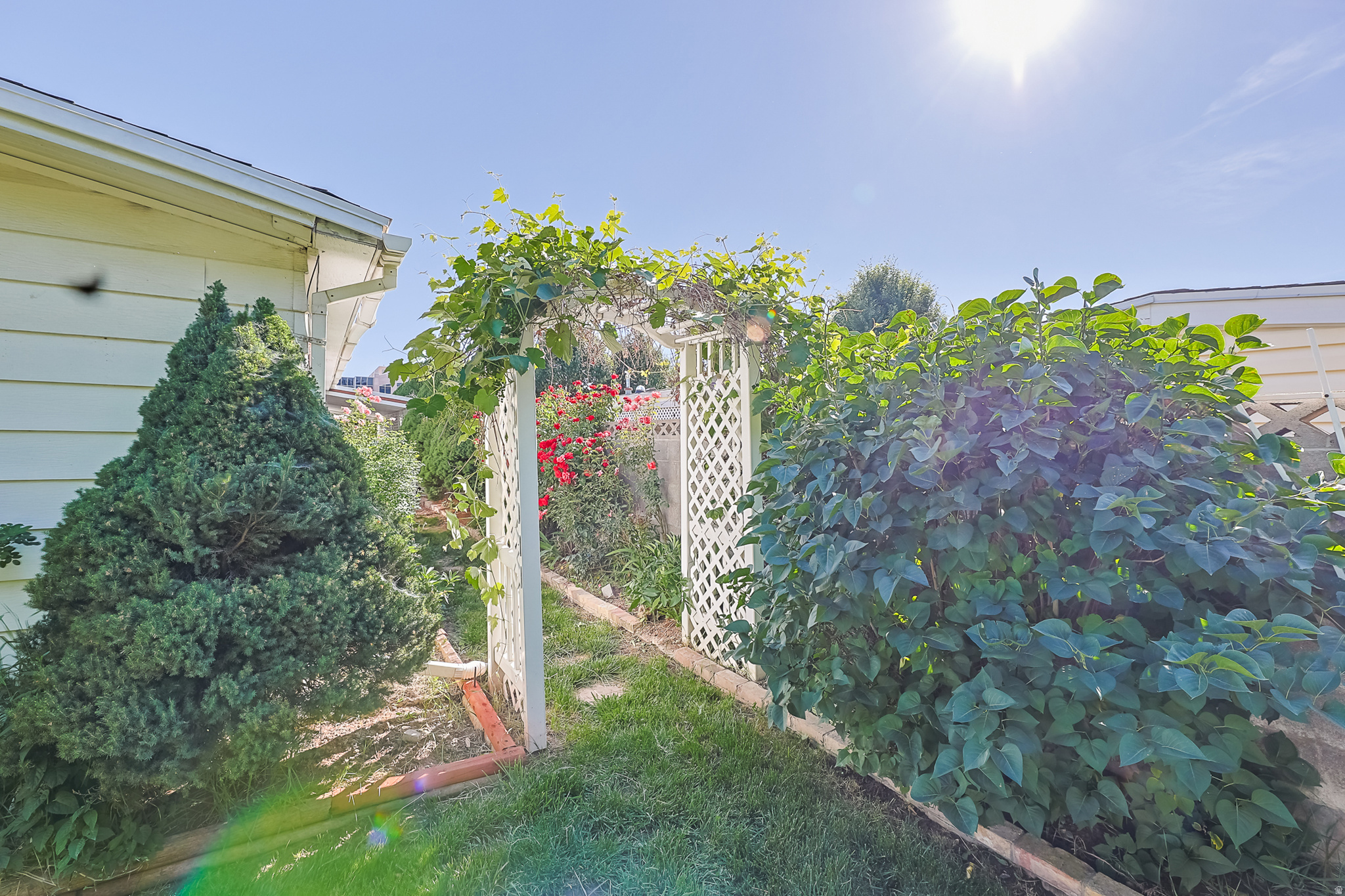 ALTA VIEW ESTATES - Residential