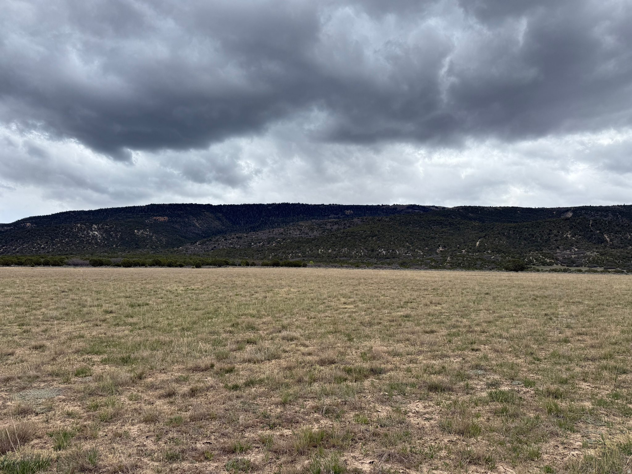 If you've been searching for the perfect 10-acre parcel to build your dream home and enjoy country living, this is it. Located between Spring City and Ephraim on the east bench below Skyline Drive, these buildable lots already have power and water in place-ready for you to start building. Just 40 minutes from I-15 and approximately 100 mile from Salt Lake City, this property offers the perfect balance of peaceful seclusion and convenient access. This is country living at its finest. Whether you're looking for a place to keep horses, cows and chickens, or simply want room to spread out and enjoy the privacy of having no close neighbors, the property is worth a look. Includes 5 acre feet of irrigation water. Call Jordan Durfey for driving directions.