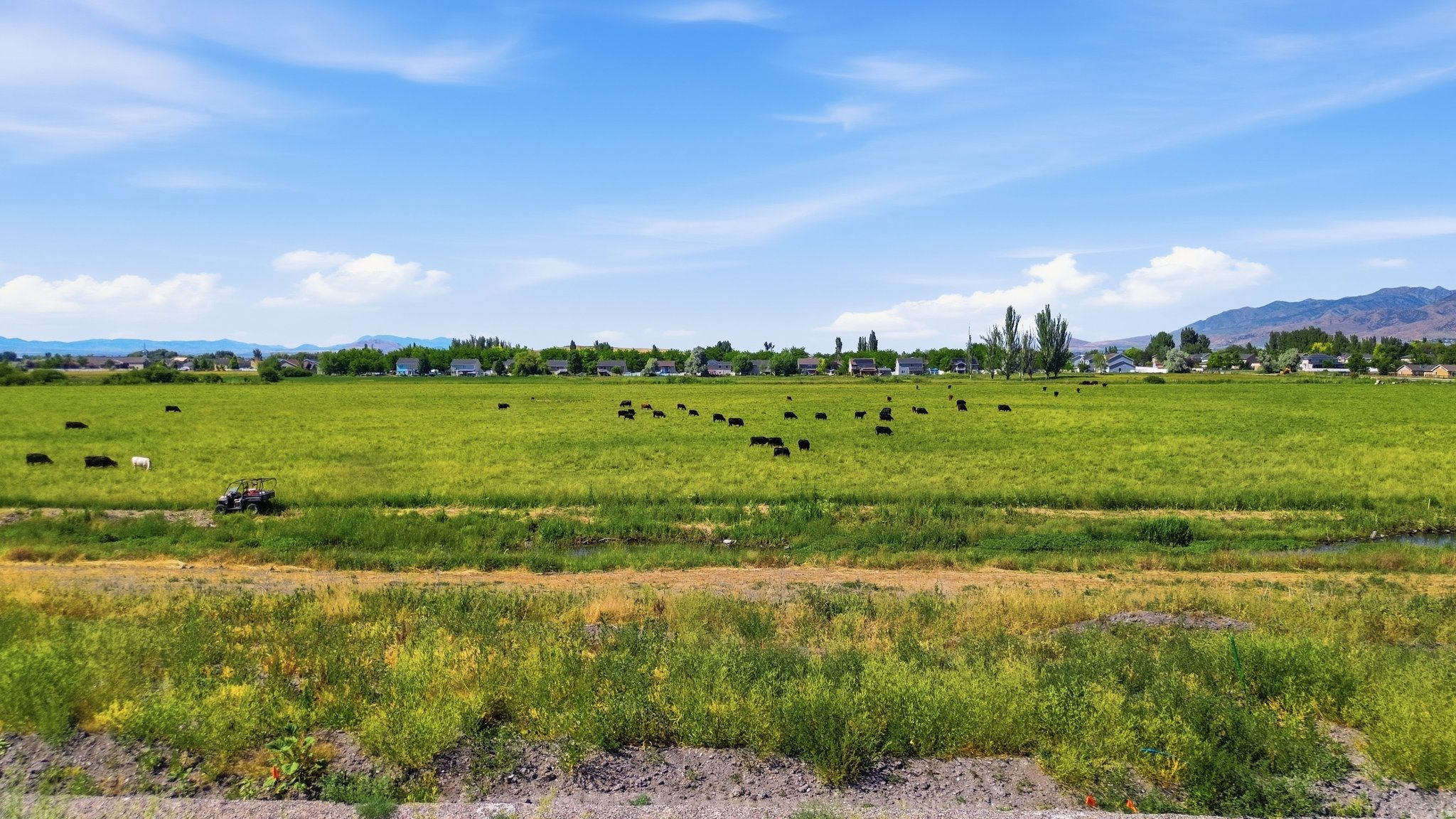 WILLOW LAKES - Land