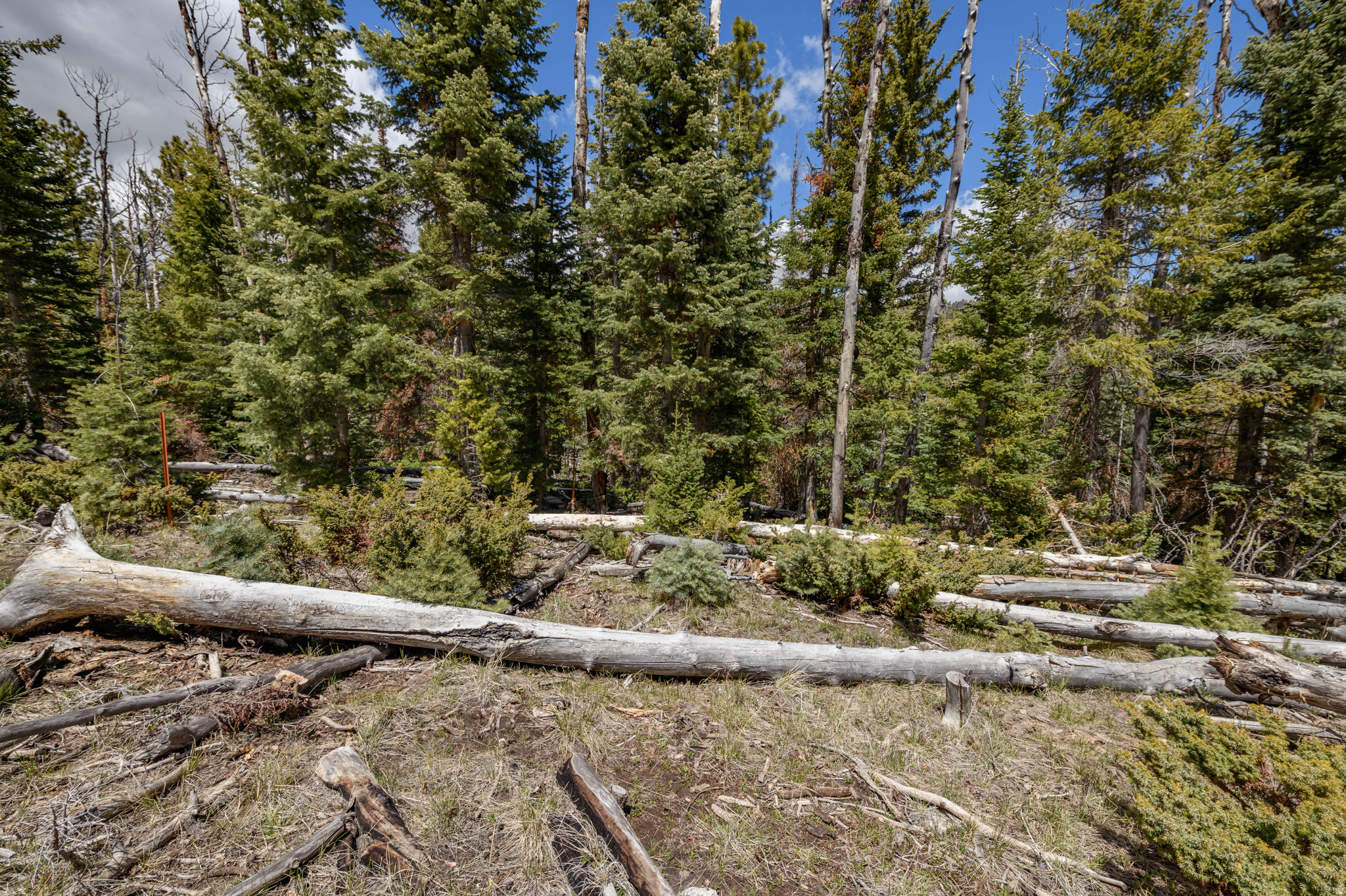 CLEAR CREEK ESTATES - Land