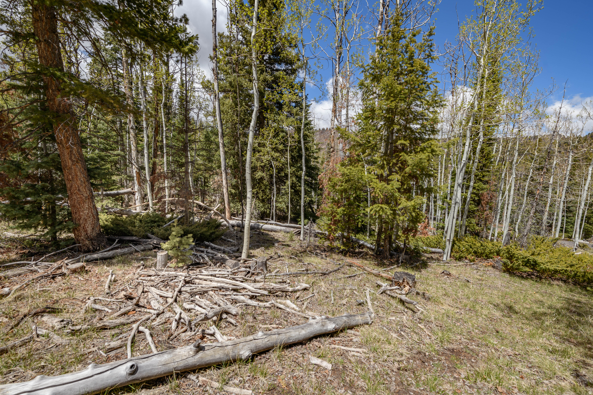 CLEAR CREEK ESTATES - Land