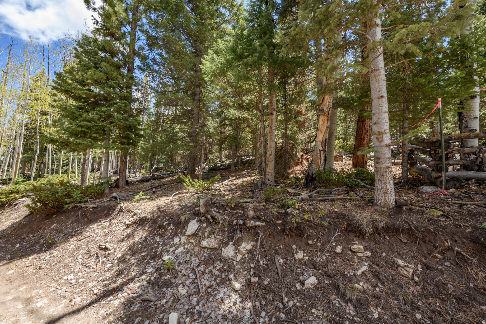 CLEAR CREEK ESTATES - Land