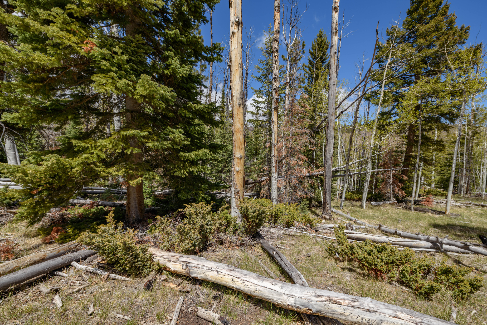 CLEAR CREEK ESTATES - Land