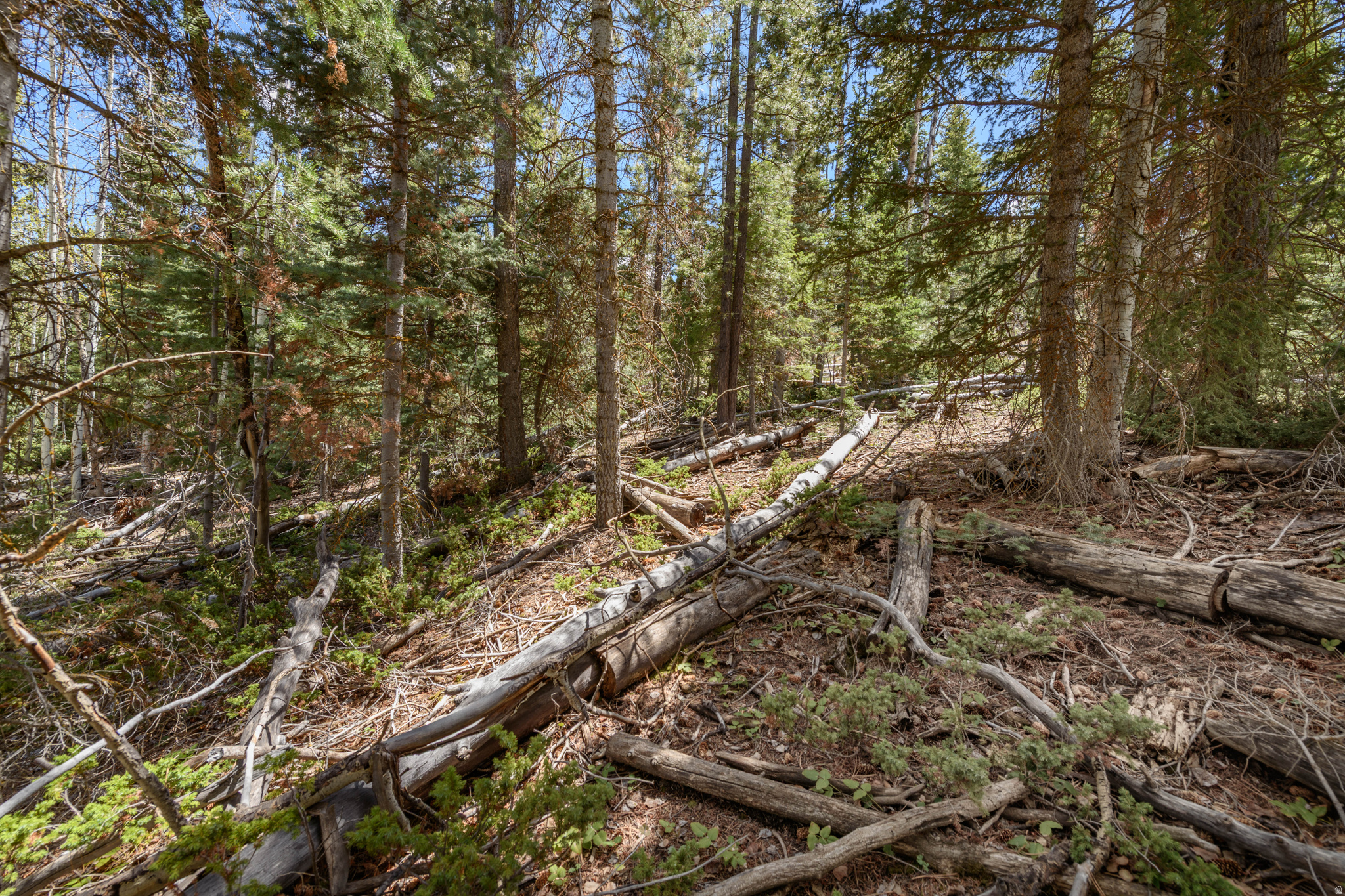 CLEAR CREEK ESTATES - Land