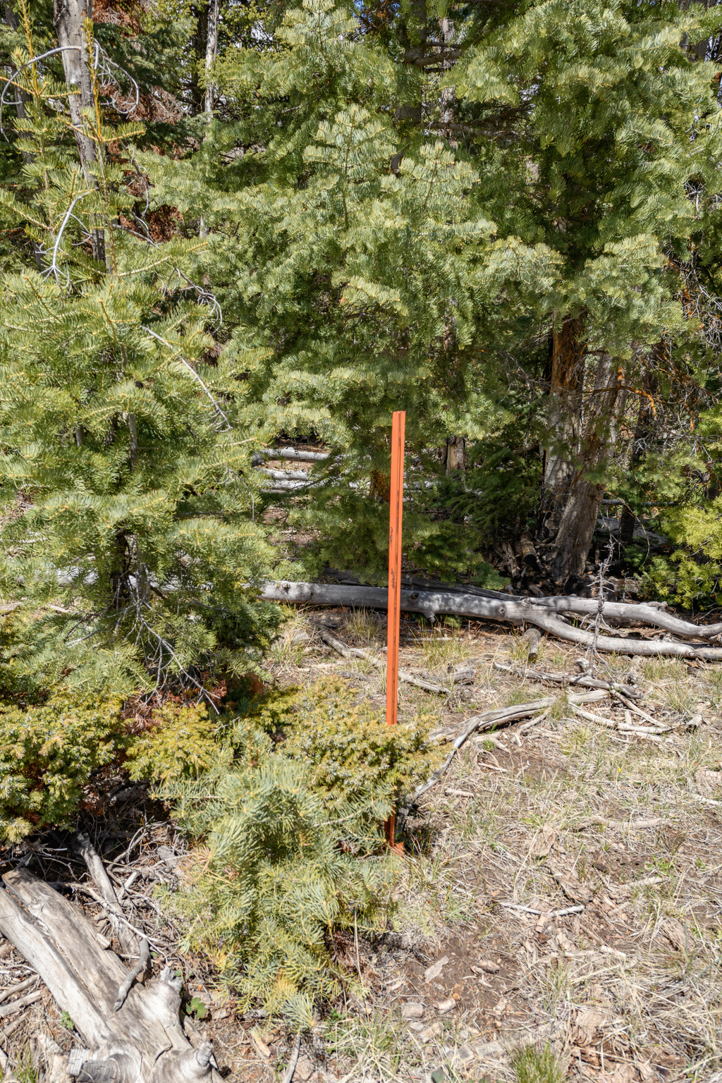CLEAR CREEK ESTATES - Land