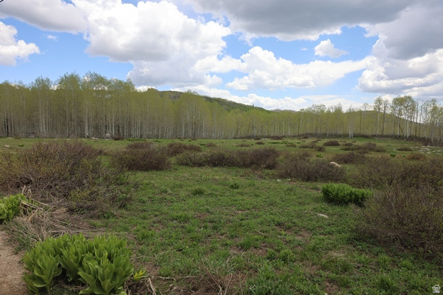 Enjoy the tranquil beauty of this partially wooded lot in Midway, Utah, Brighton Estates Subdivision 1, (with no HOA / no CCRs) offering one of the most spectacular and peaceful mountain settings available in the greater Park City area. Explore nearby trails, stunning views, and no light pollution.  The lot is flat and partly cleared.  Tucked in the hills of Midway, just below Guardsman Pass, minutes away from Wasatch Mountain State Park, WOW Trail, Bonanza Flat, Brighton Resort, Deer Valley, and Park City.  Ideal recreational use for the outdoor enthusiast with activities such as biking, hiking, snowmobiling, & backcountry skiing.  Property is SEASONAL as driving access through Guardsman Pass, (from Big Cottonwood Canyon) & Pine Canyon Rd, (from Park City and Midway) is closed fall to spring when roads are unplowed.  Property has no water nor septic.  Failed perc test in 2007.  Must have water to build.  Adjacent lot 42 is also for sale.  See attached plat map.  (The road is Larkspur but the map incorrectly reflects Lakespur.)  All information herein is deemed reliable but not guaranteed. Buyer is responsible for verifying all listing information.