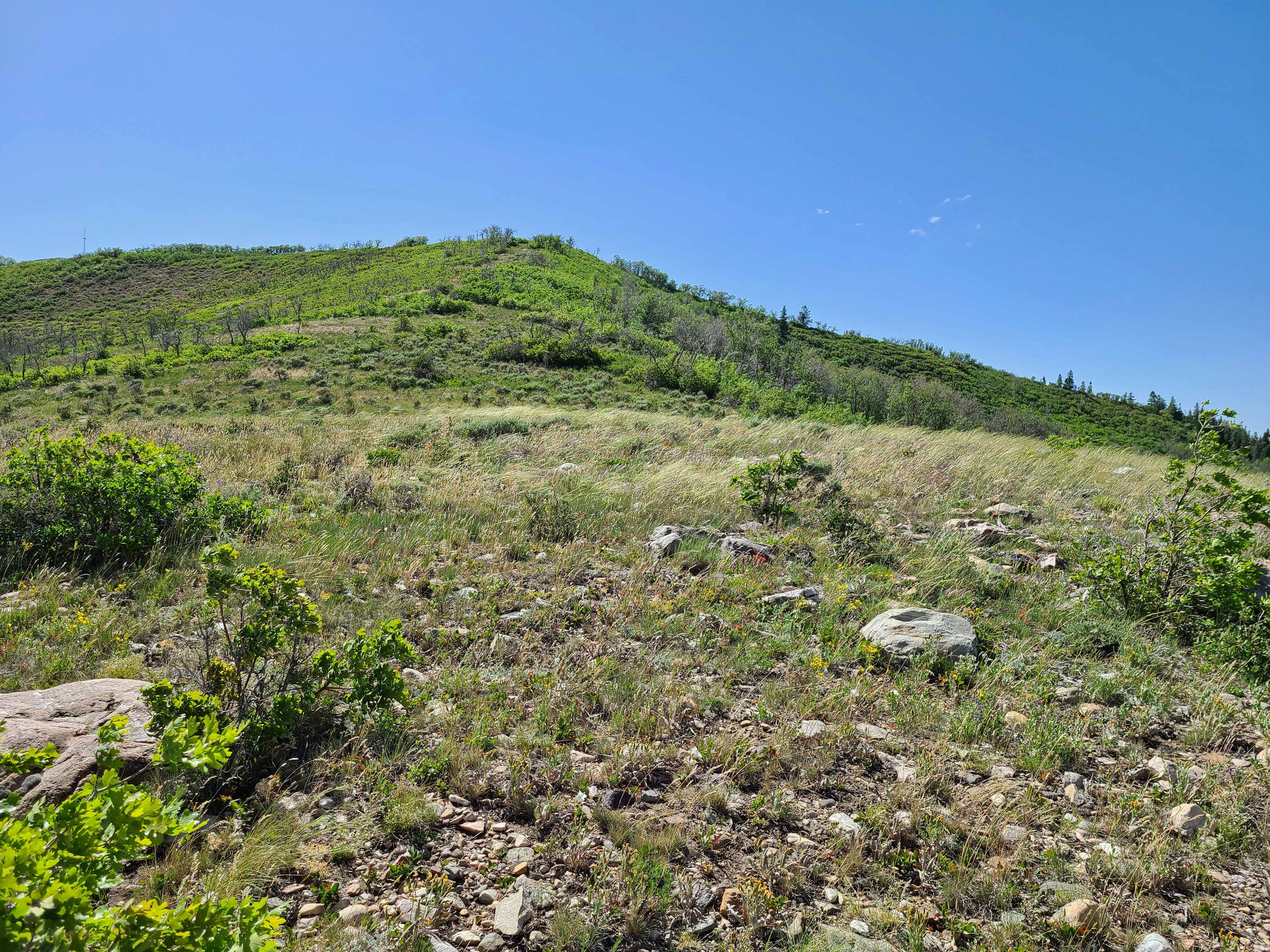 ELK RIDGE - Land