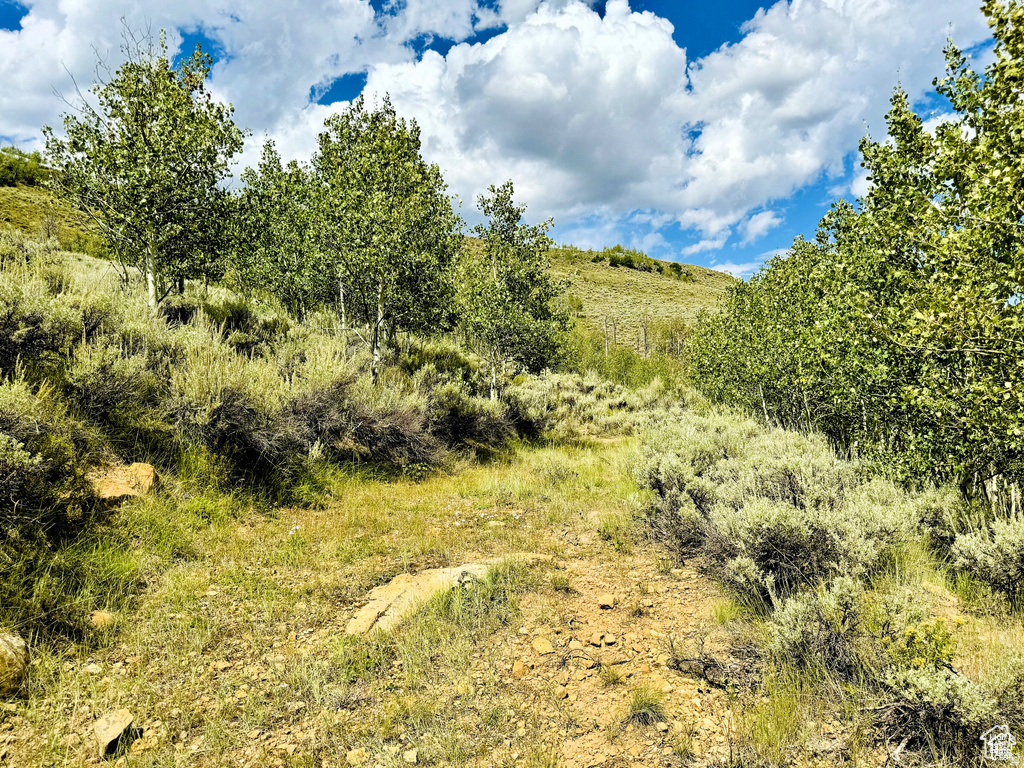 ASPEN COVE - Land