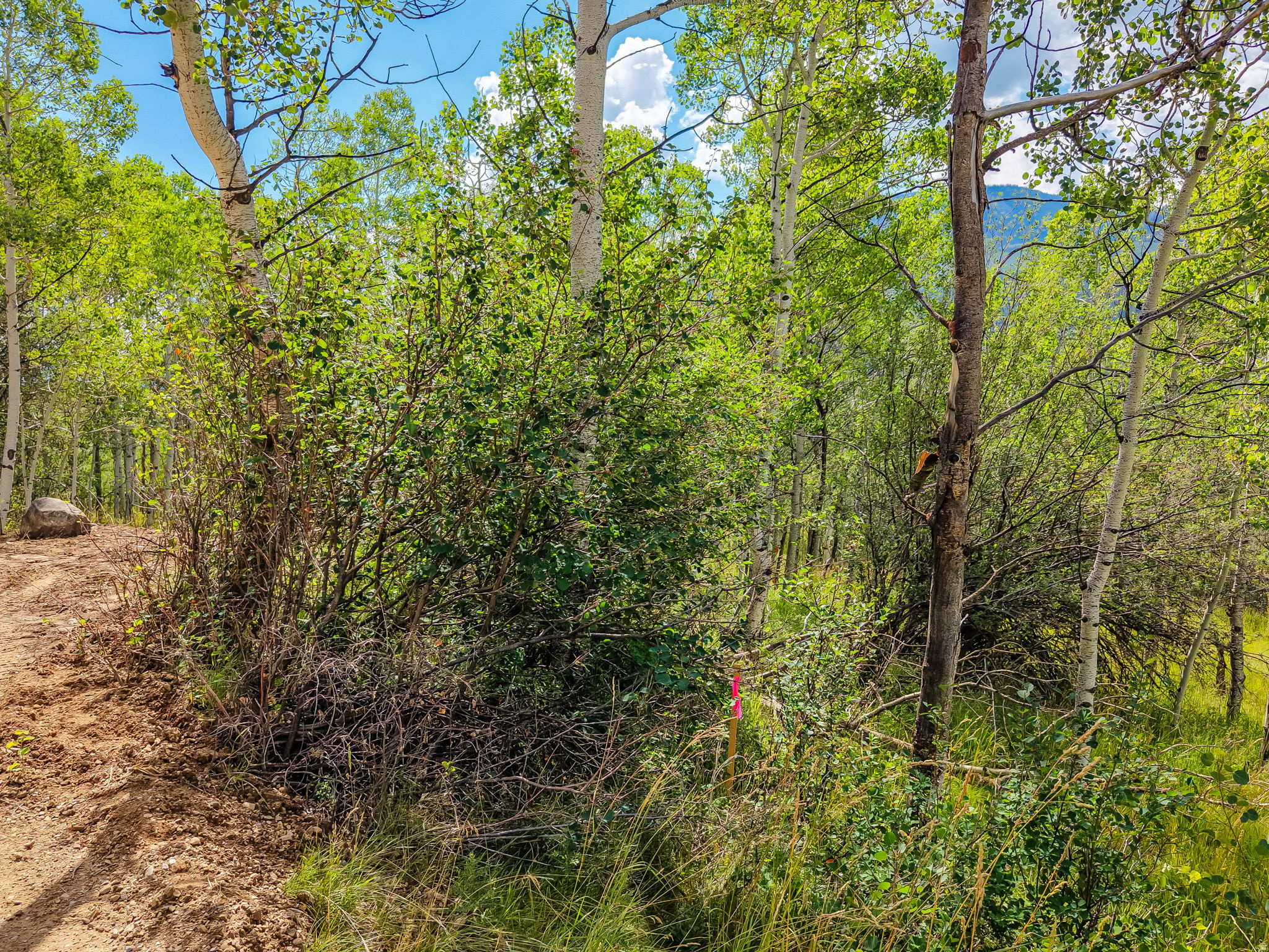 BEAVER SPRINGS RANCH SUBDIV - Land