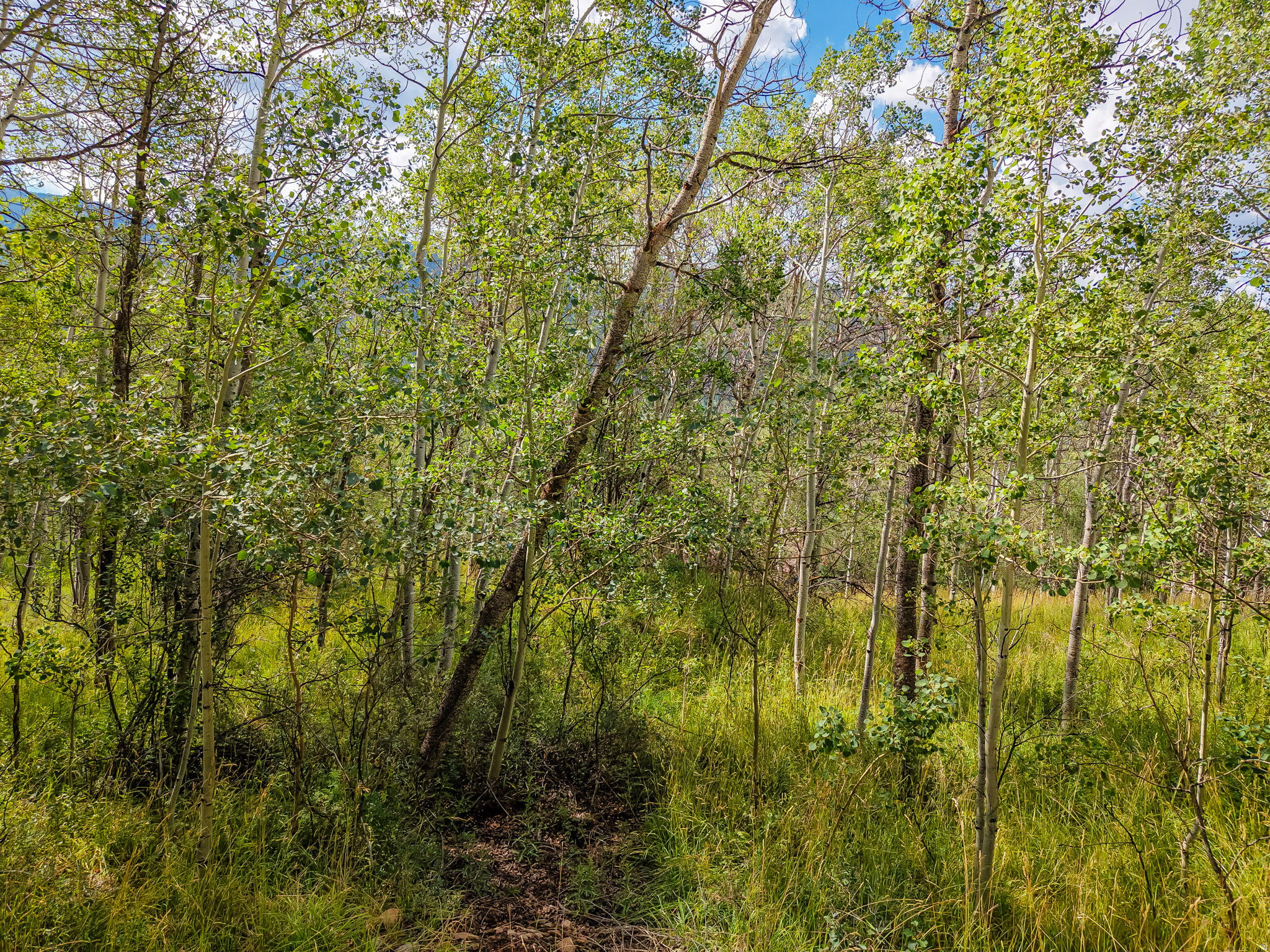 BEAVER SPRINGS RANCH SUBDIV - Land