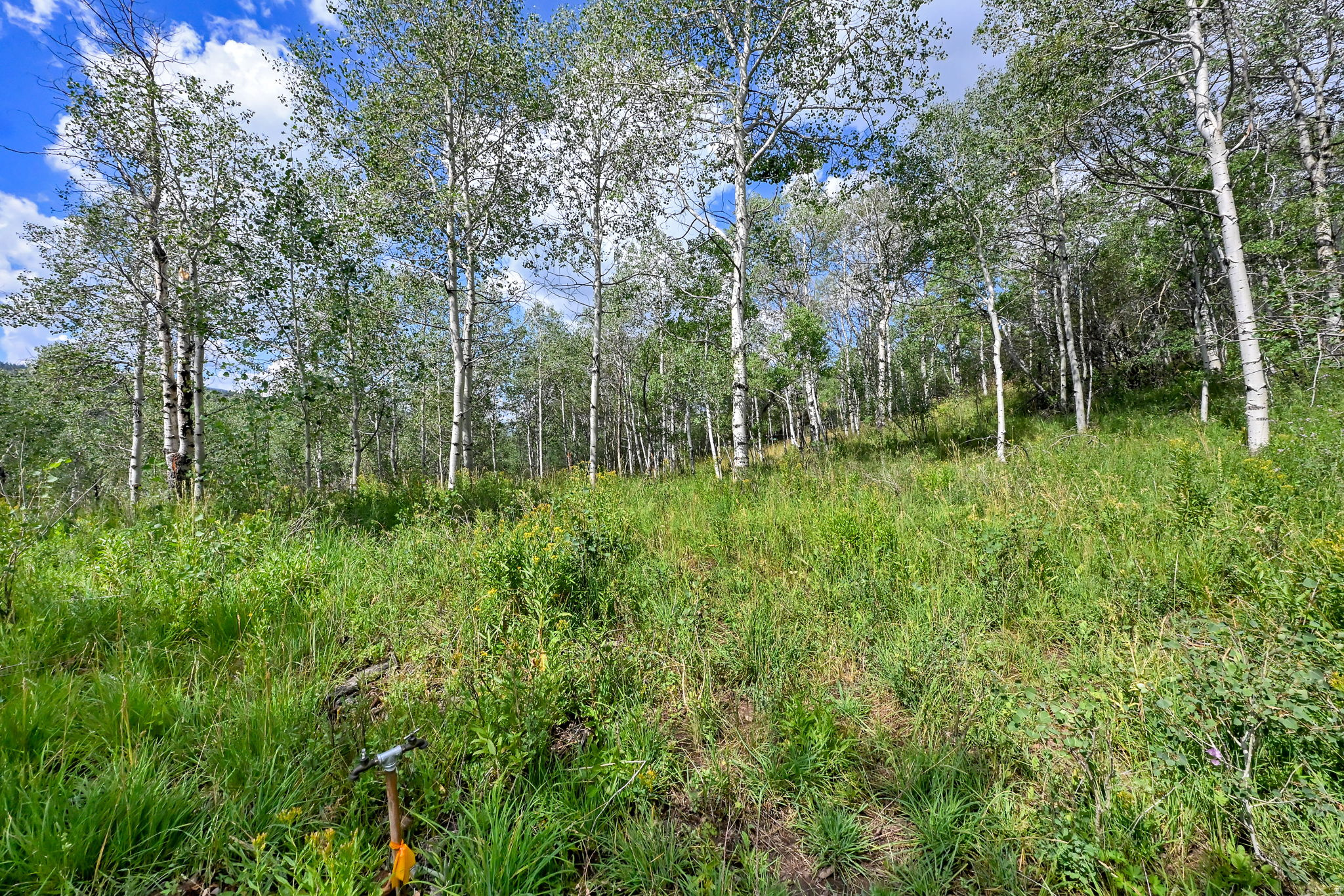BEAVER SPRINGS RANCH SUBDIV - Land