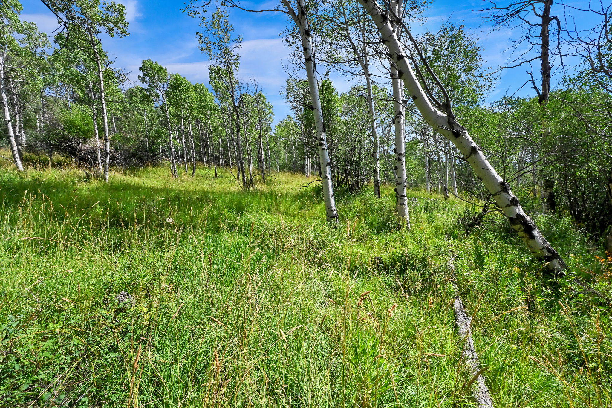 BEAVER SPRINGS RANCH SUBDIV - Land