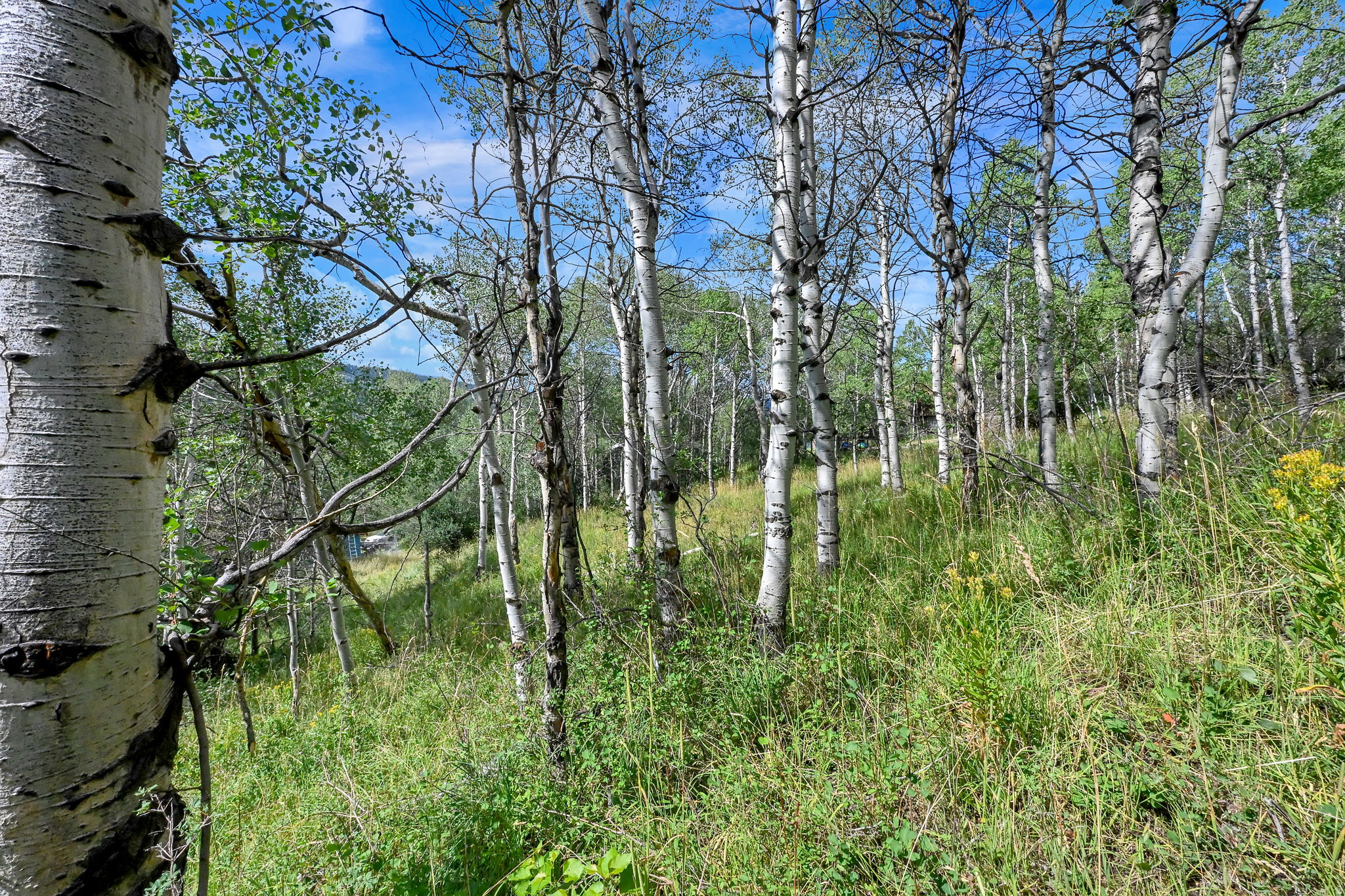 BEAVER SPRINGS RANCH SUBDIV - Land