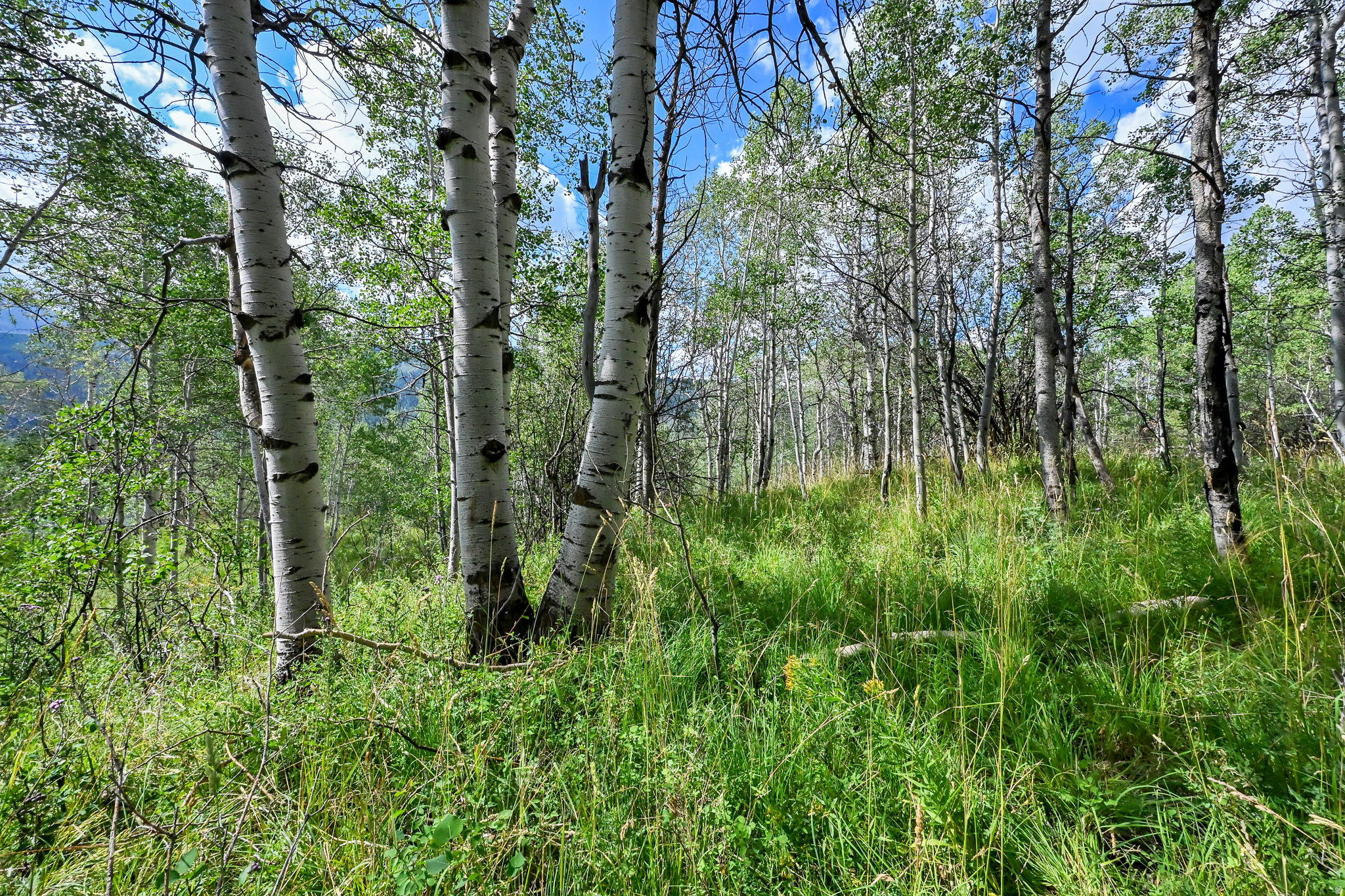 BEAVER SPRINGS RANCH SUBDIV - Land