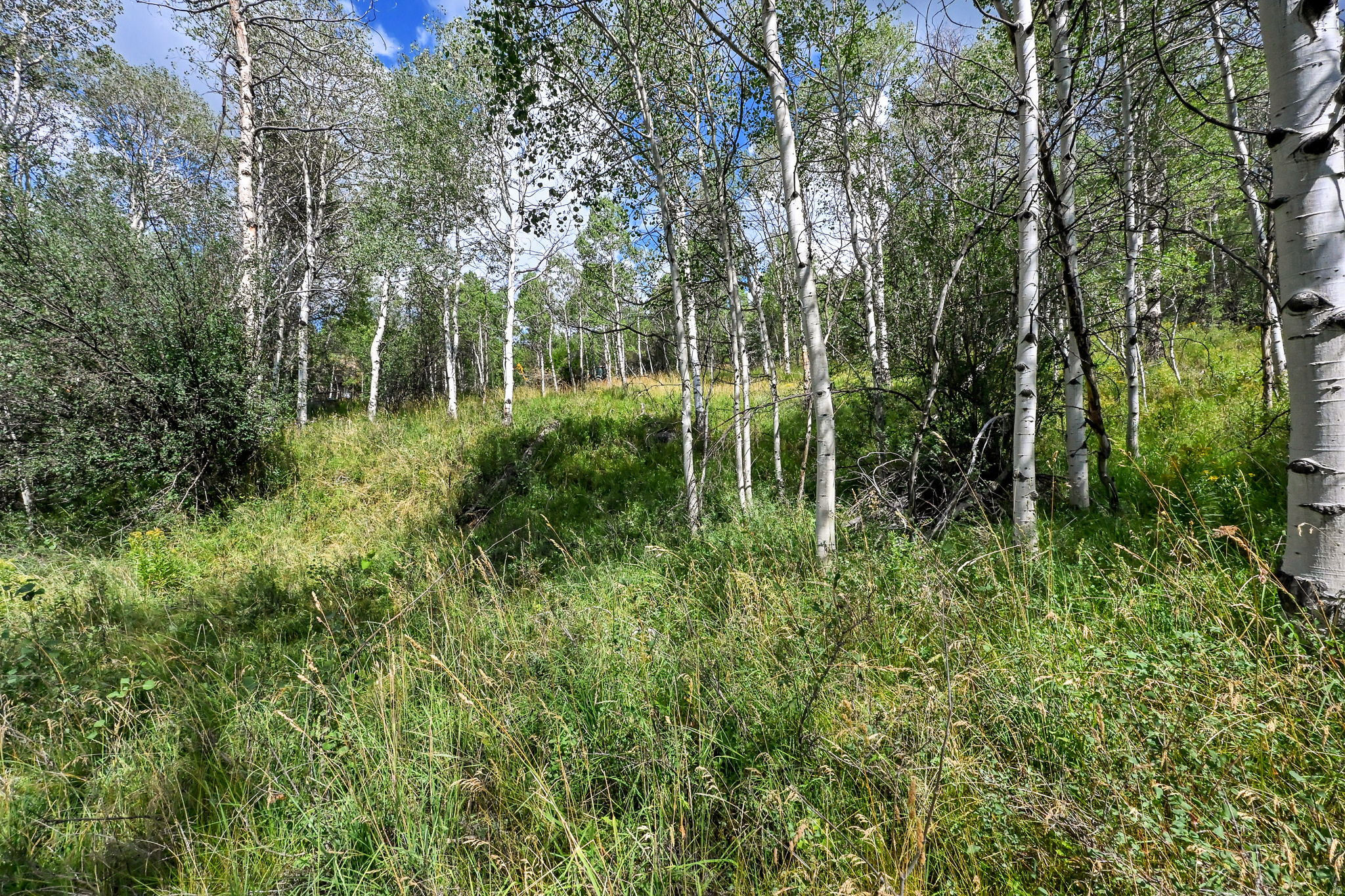 BEAVER SPRINGS RANCH SUBDIV - Land