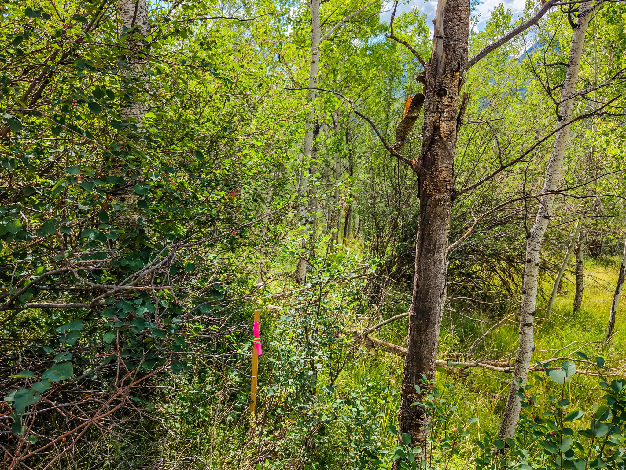 BEAVER SPRINGS RANCH SUBDIV - Land